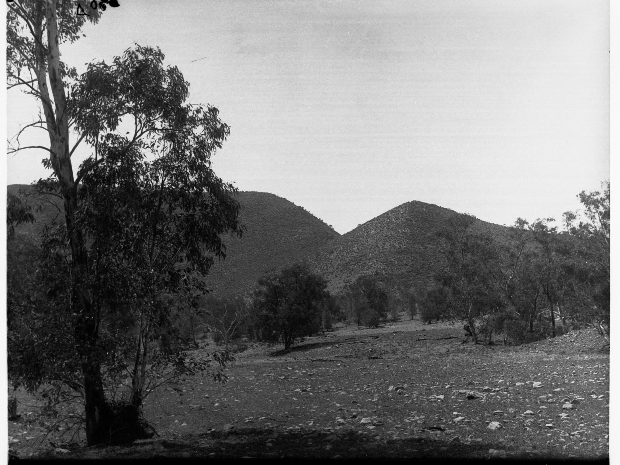 Flinders Ranges Windy Creek