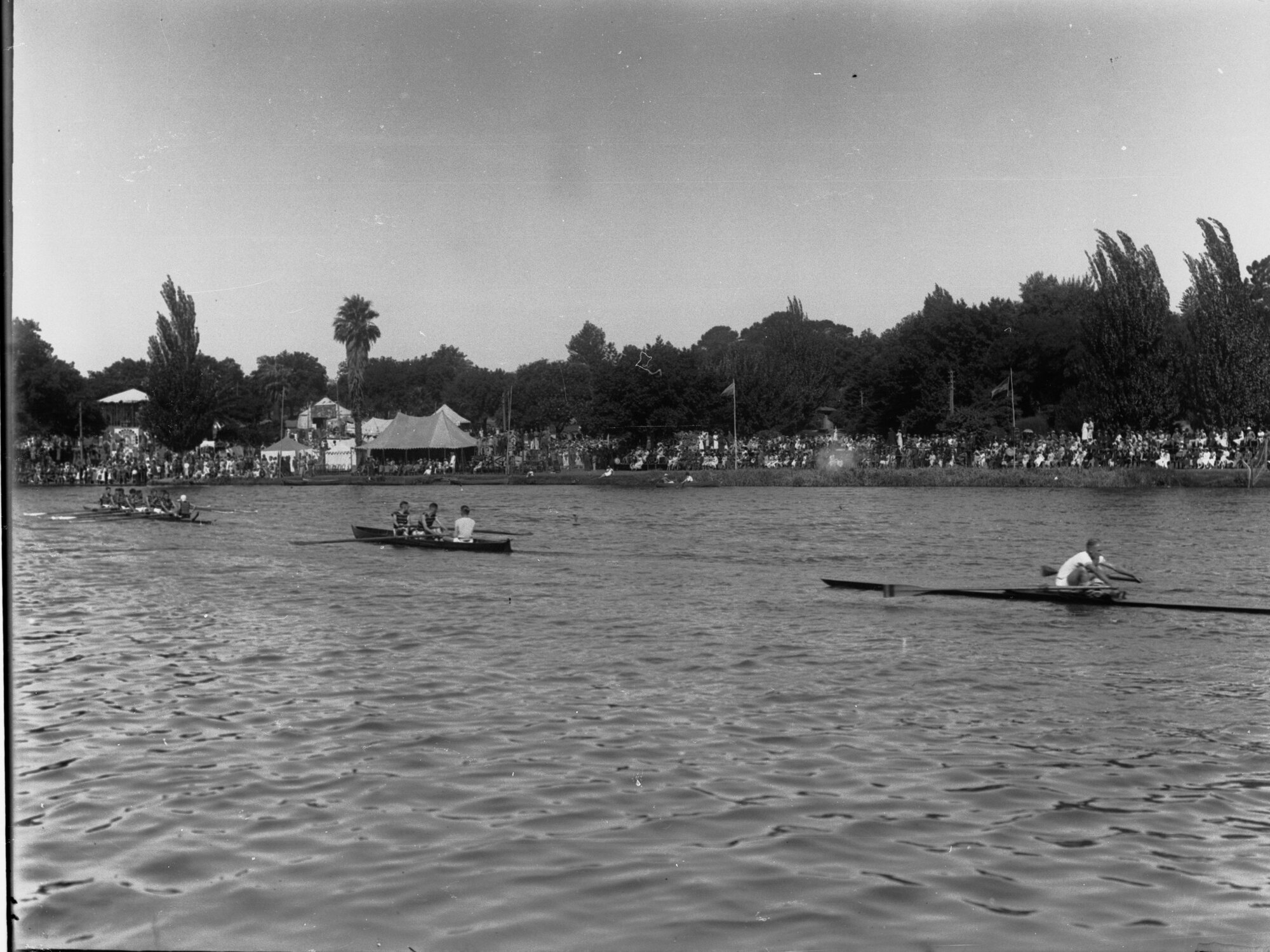 Men Rowing on River Torrens