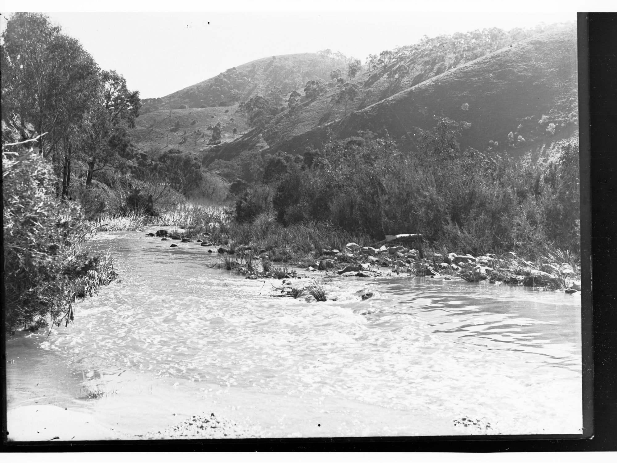 The Torrens River. 