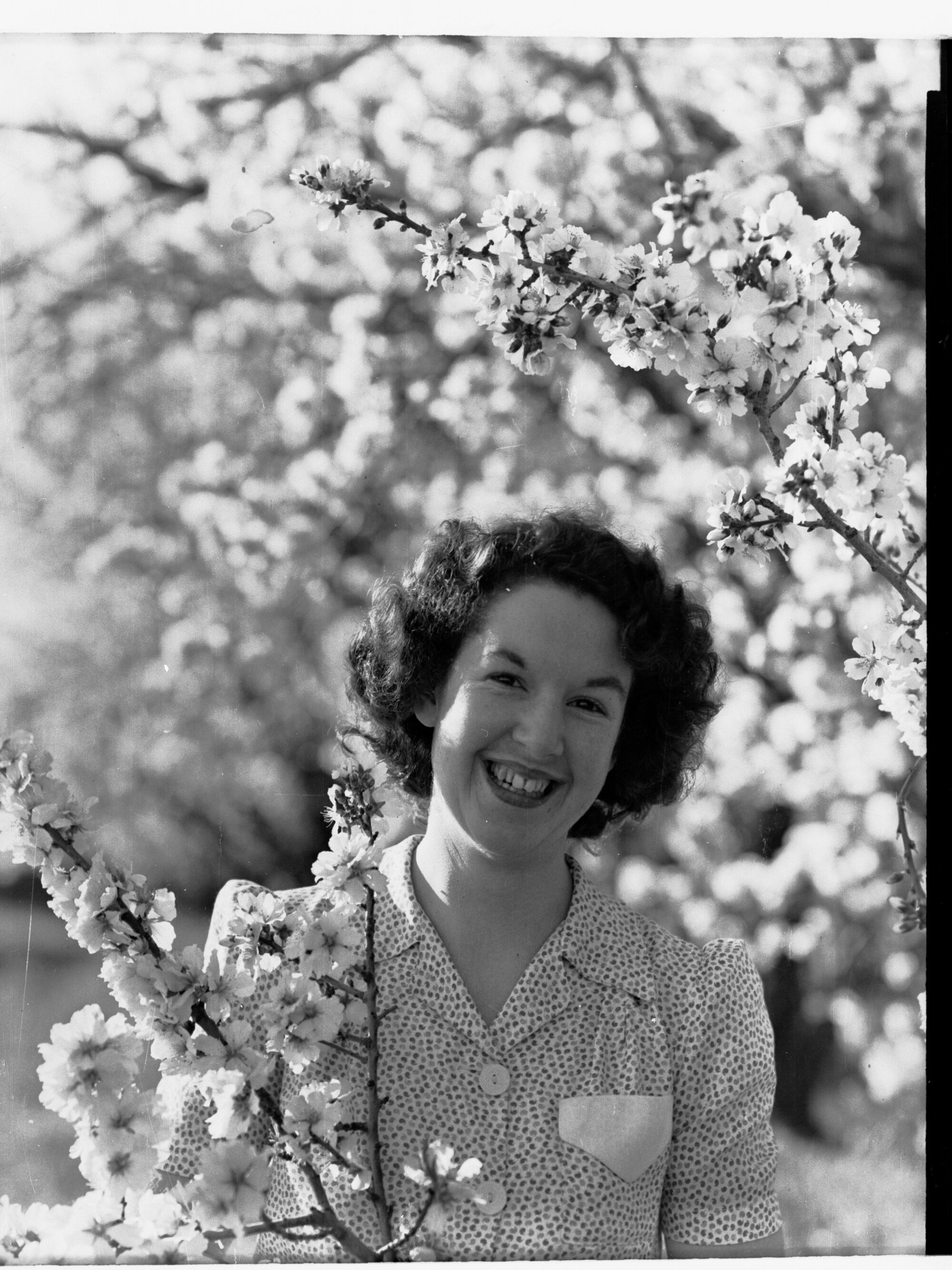 Almond Blossom Trees - Woman Holding Almond Blossom Branch