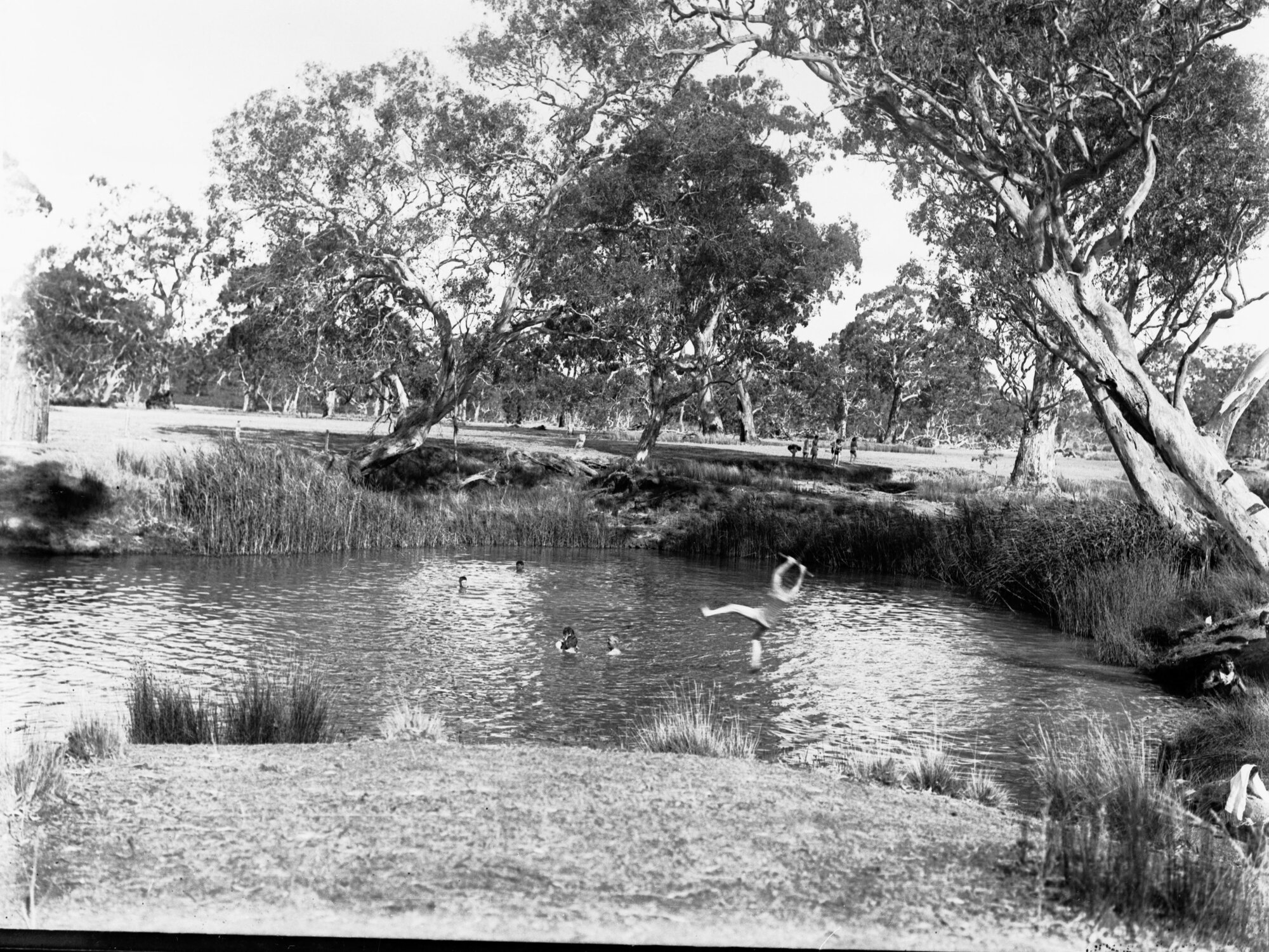 People Swimming in Pool 