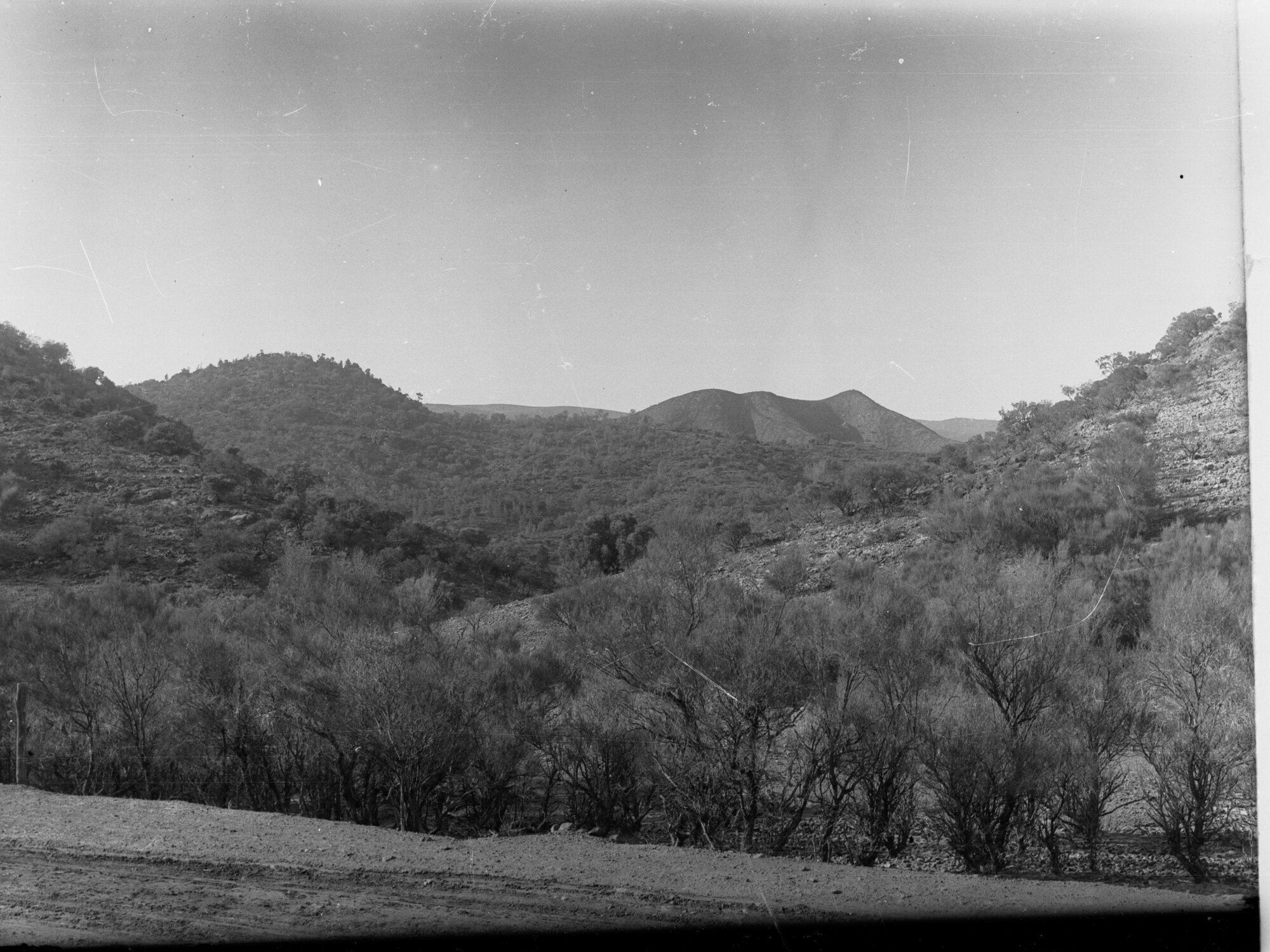 Mount Carey from Wirrealpa