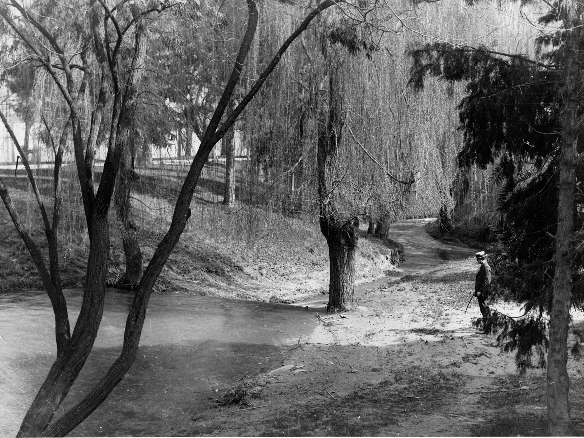 Botanic Park, showing man