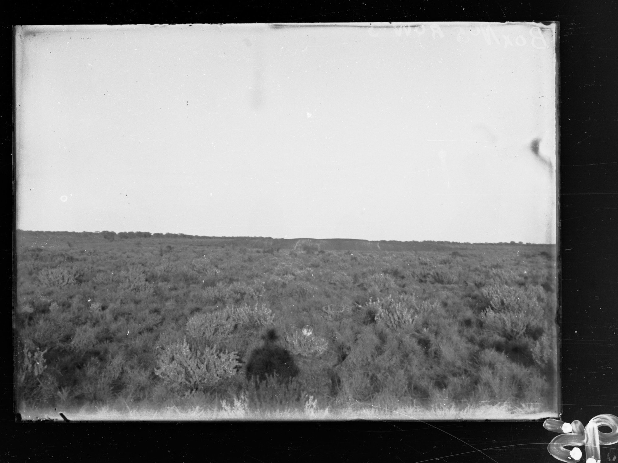 View of land and scrub along East-West Railway