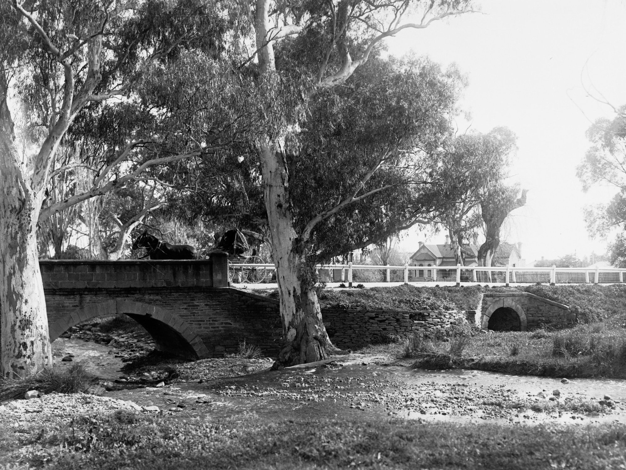 Mitcham Gardens, South Australia showing horse and buggy on bridge