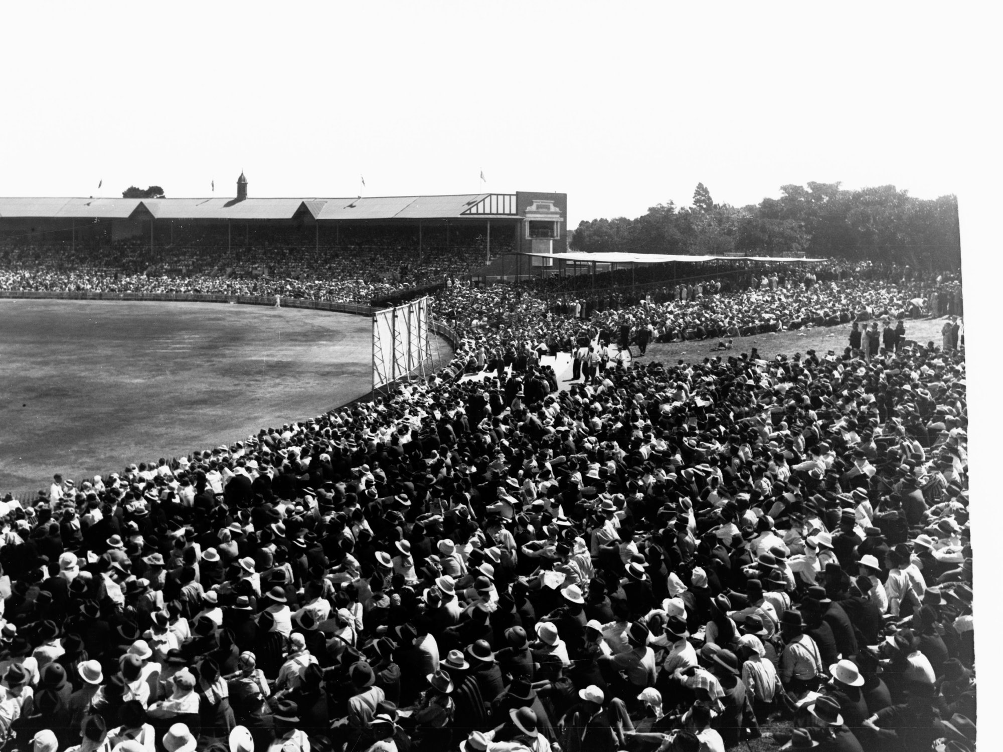 Cricket at Adelaide Oval