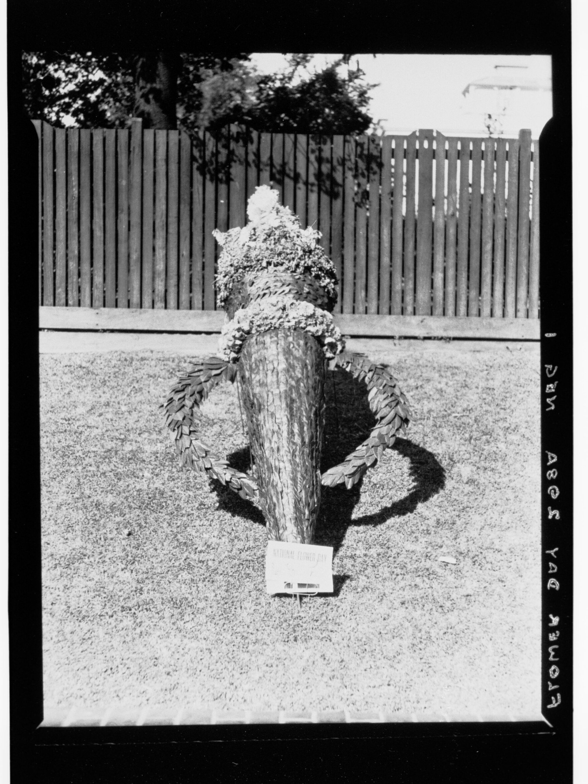 Flower Day - one of the exhibits