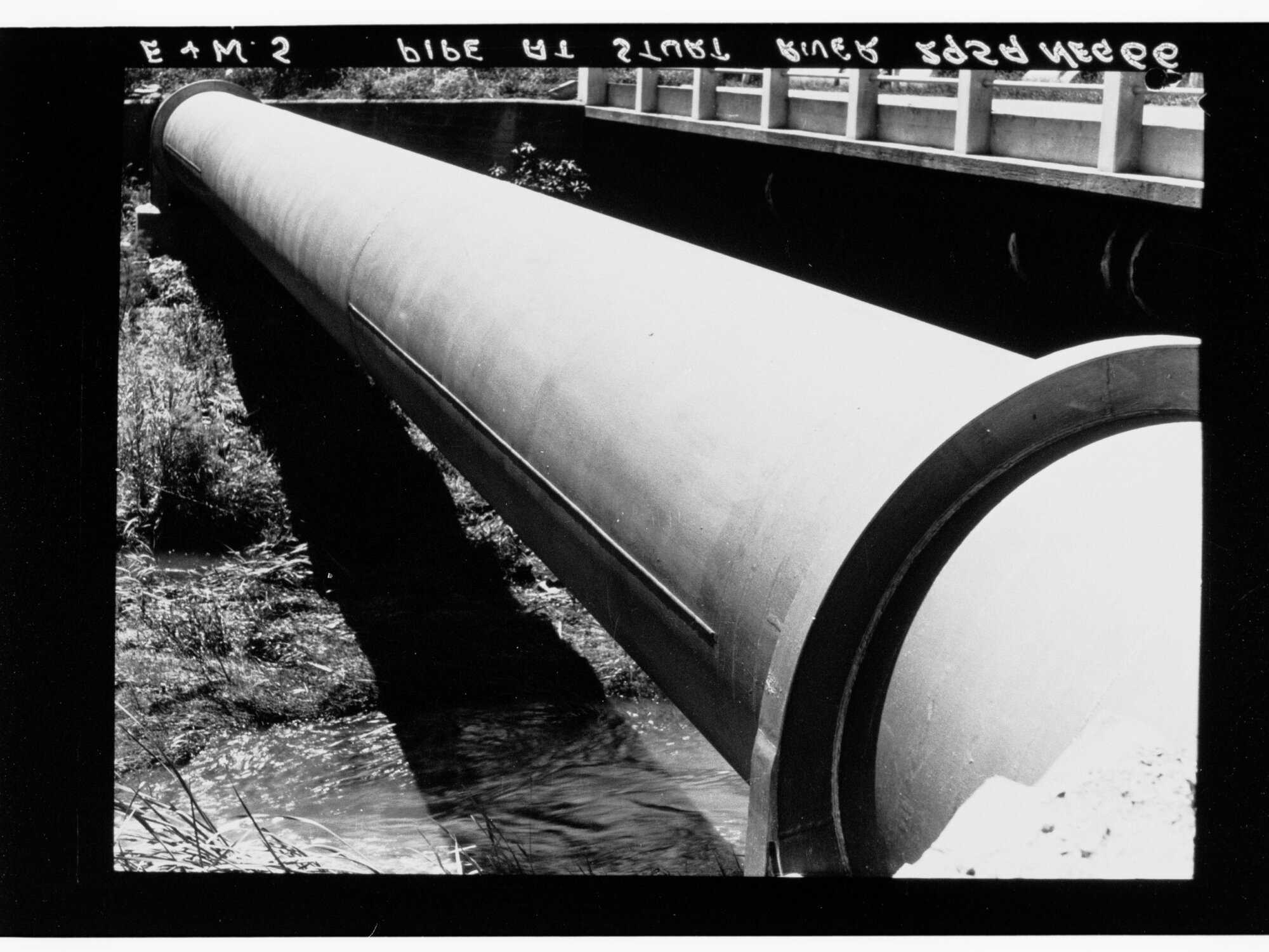 E&amp;WS Pipe at Sturt River