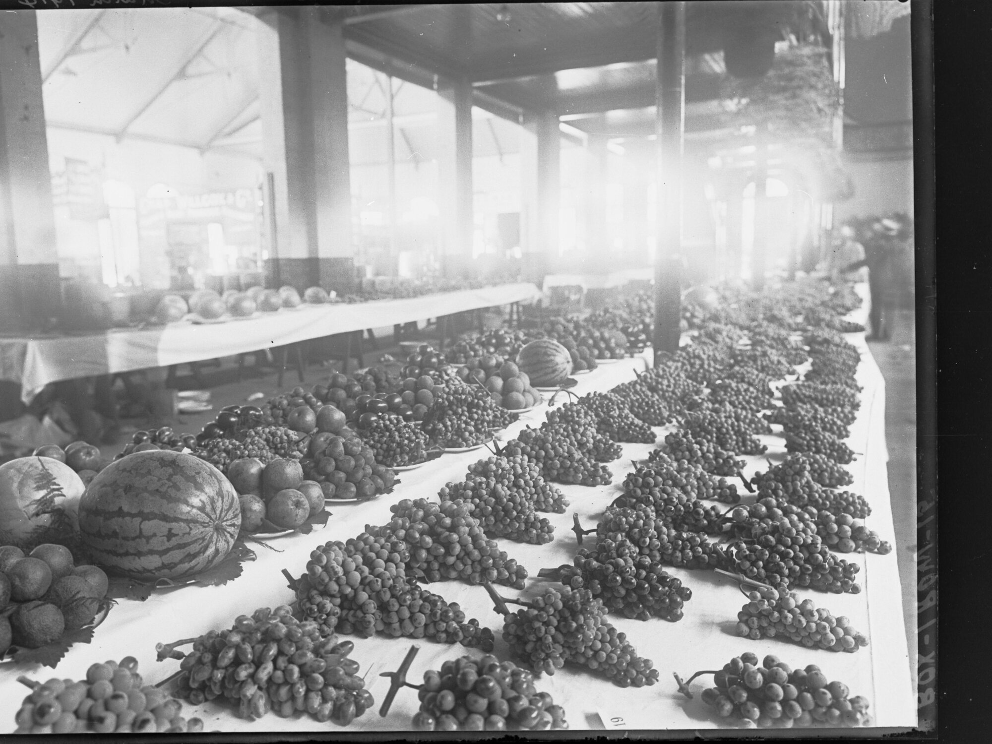 Show Exhibit of Grapes and other fruits, 