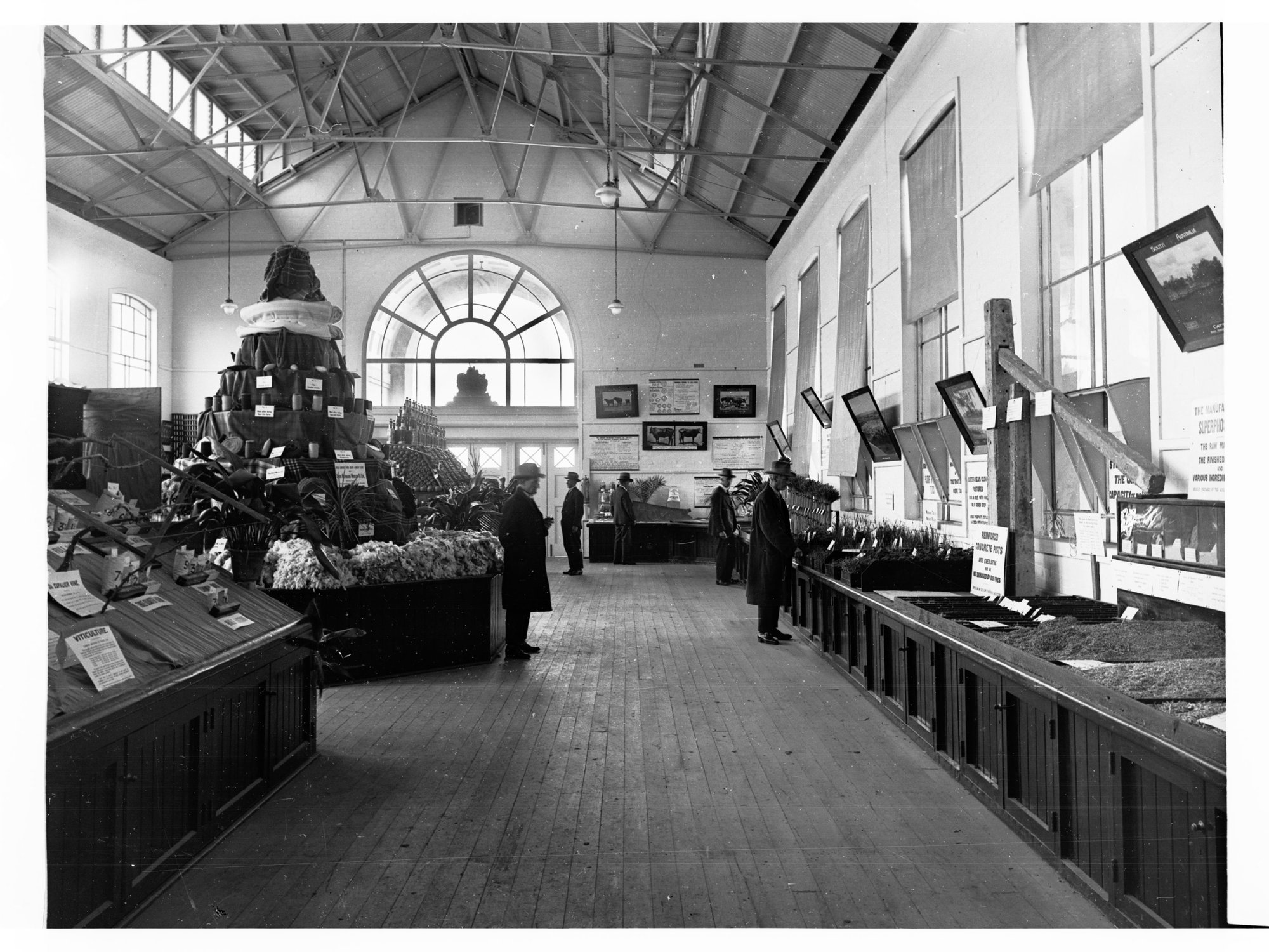 Agricultural Department Show Produce Display