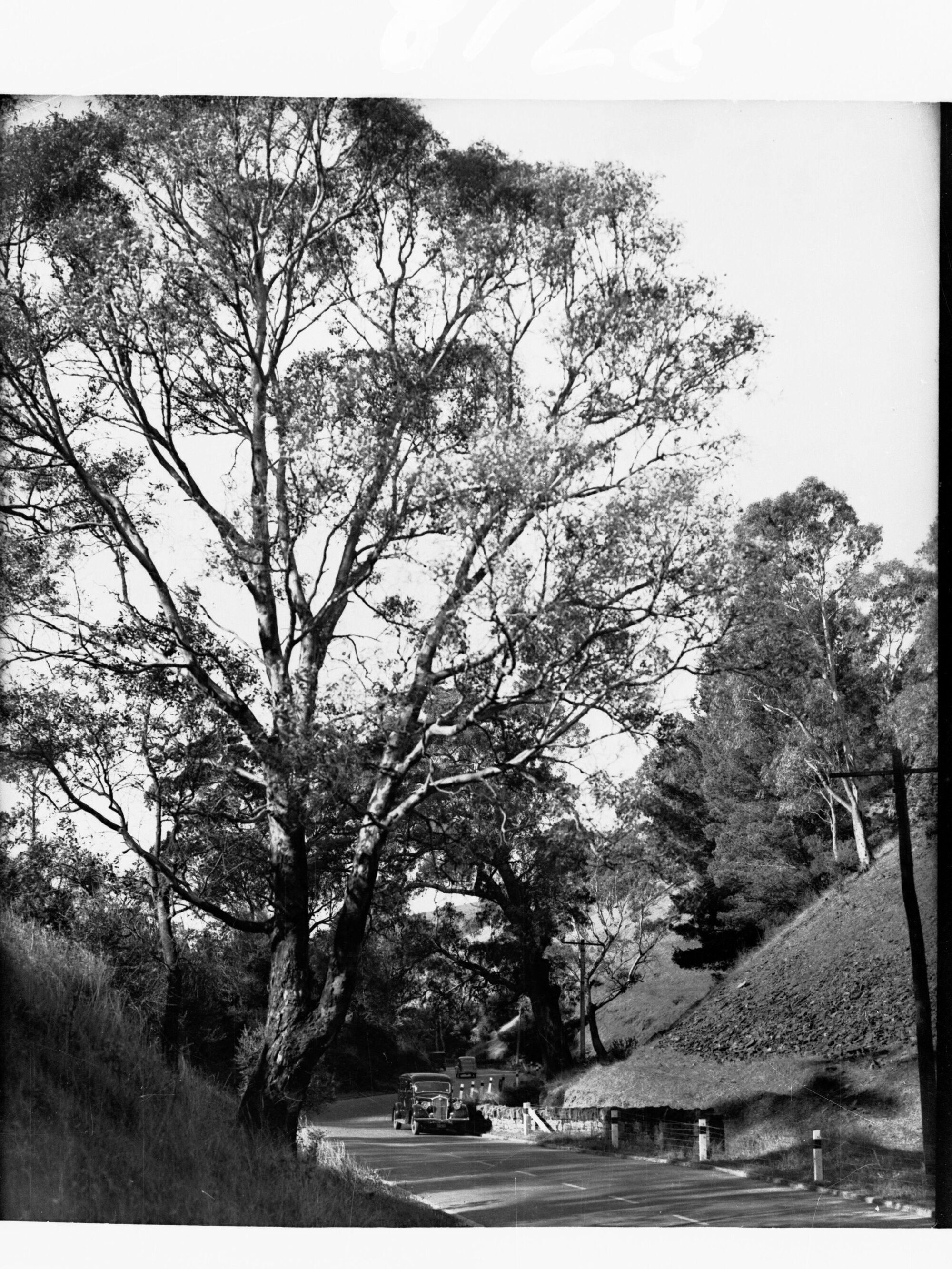 Mount Barker Road