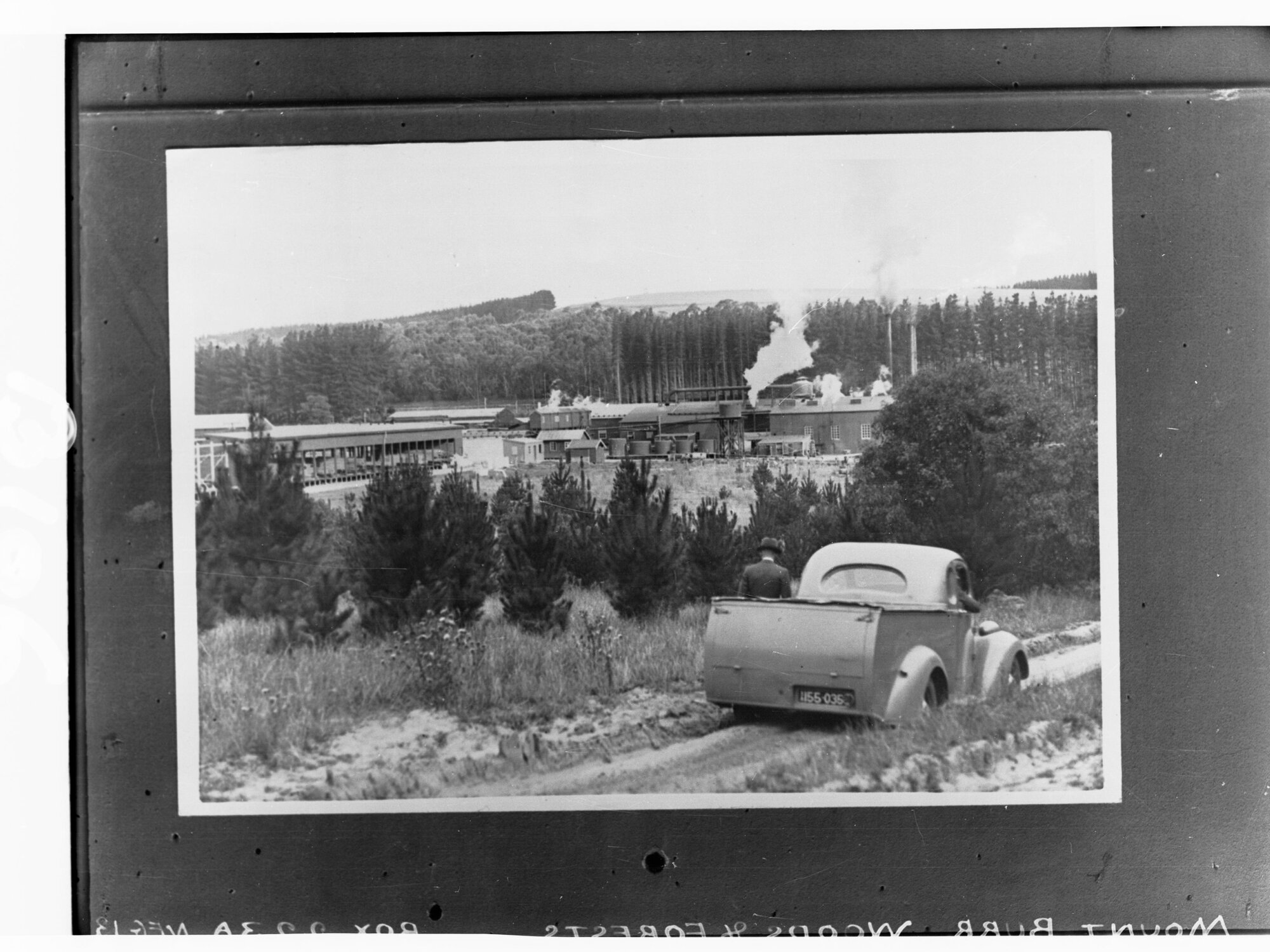 Mount Burr Woods and Forests - Showing Automobile