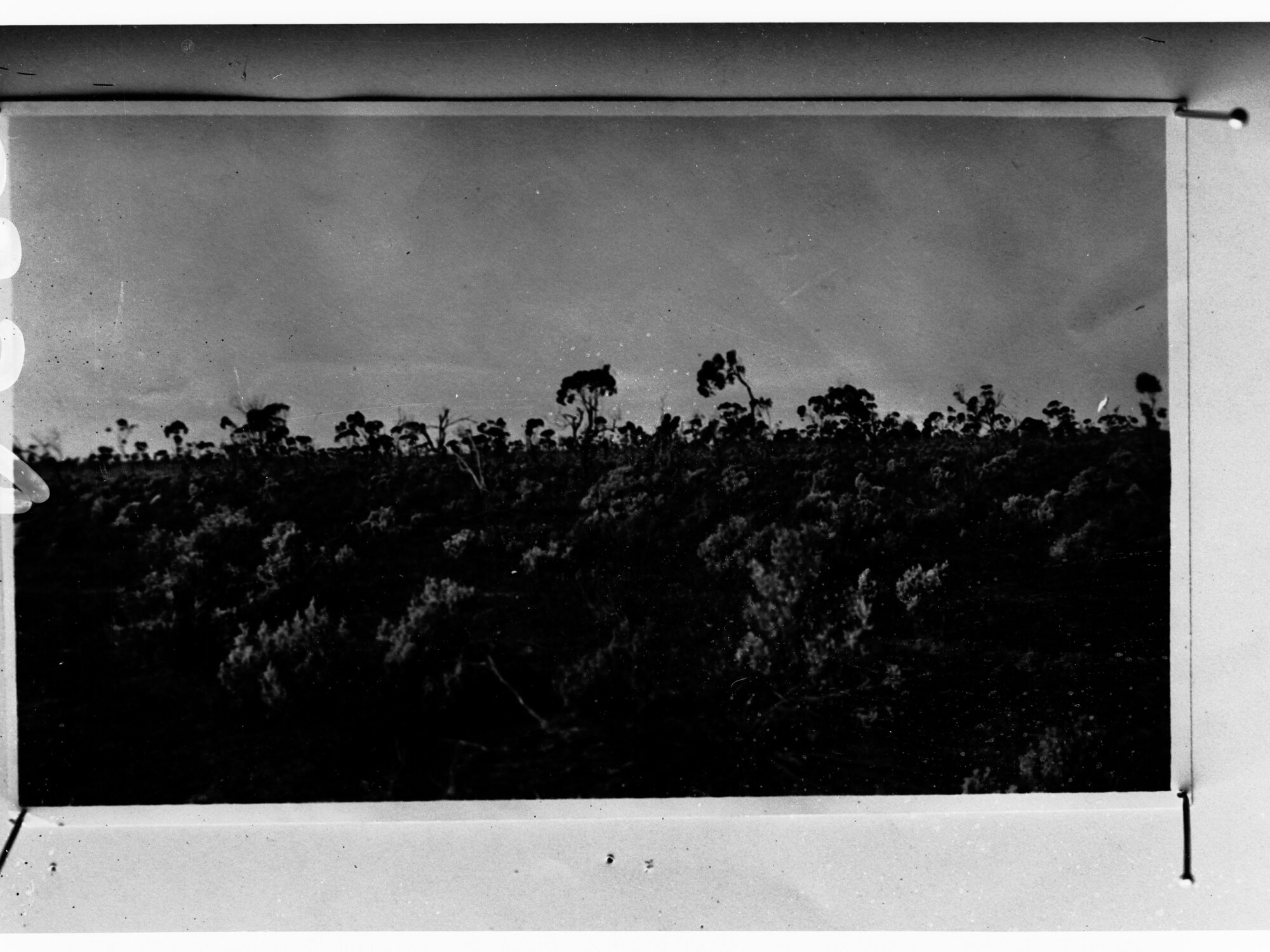 Saltbush country