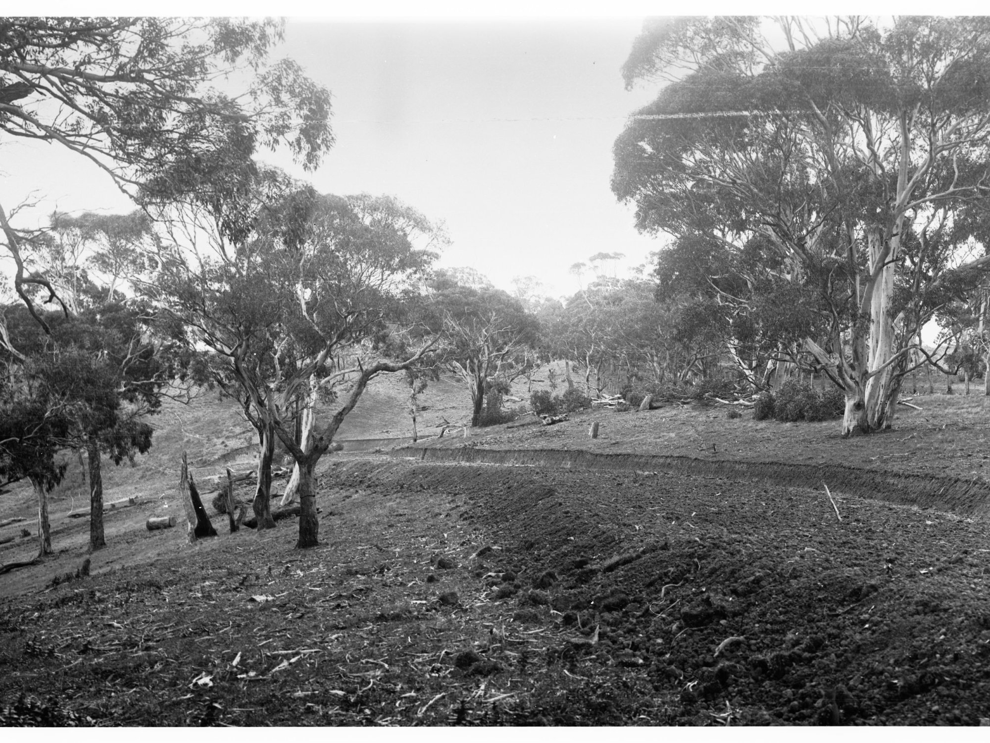 Road Construction in the Hills