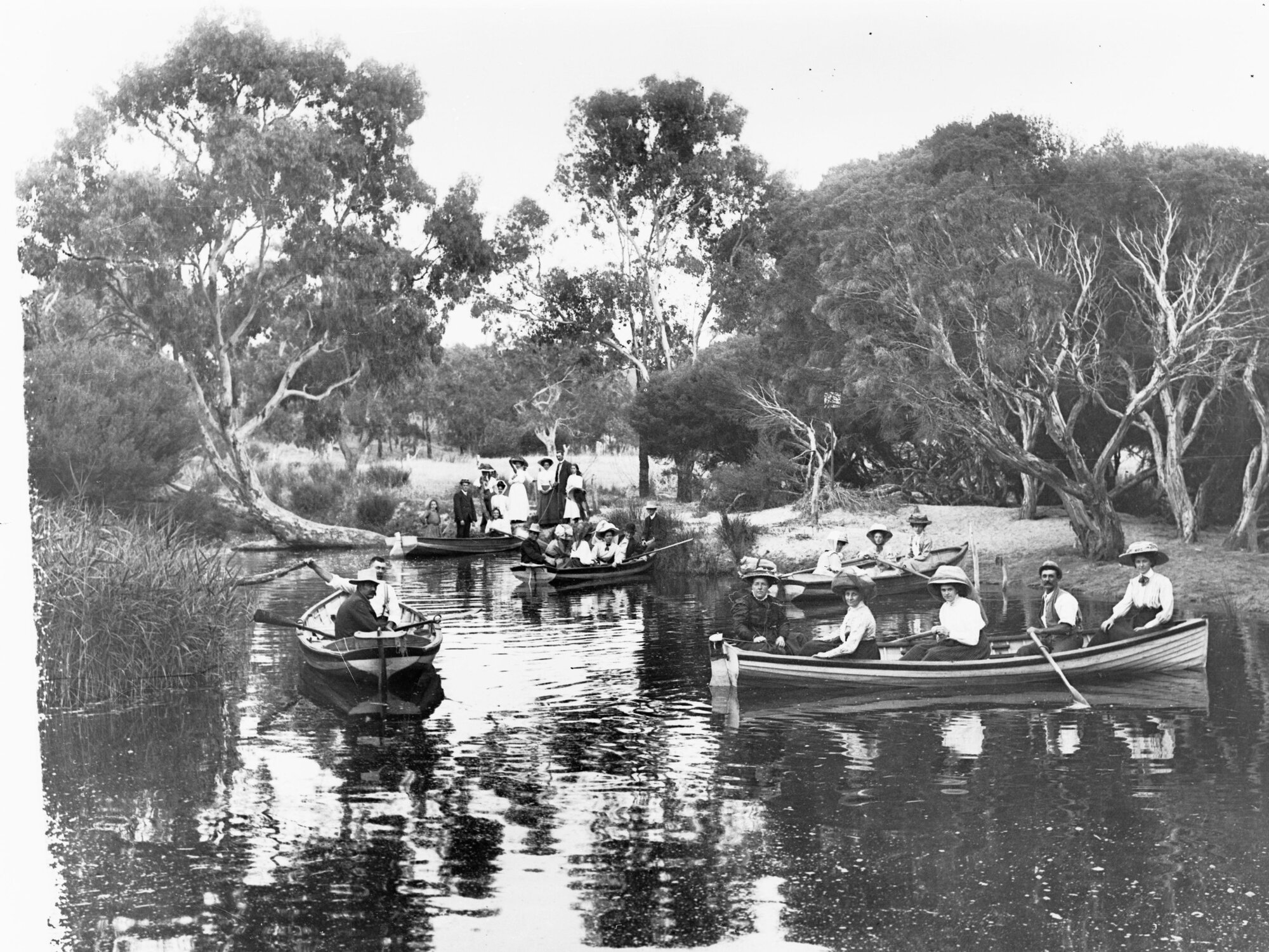 Rowboats on Hindmarsh River