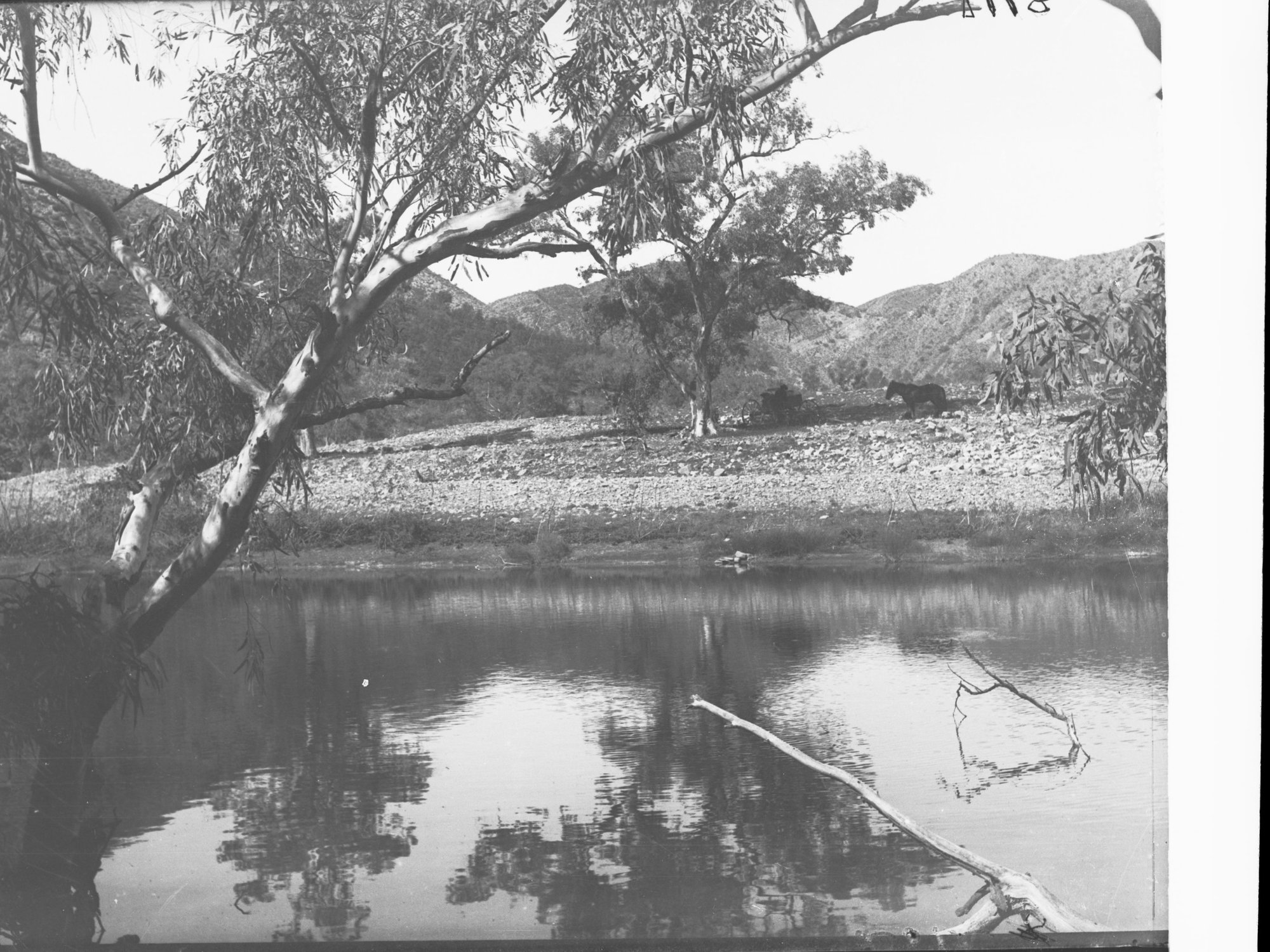 Aroona Water, Flinders Ranges