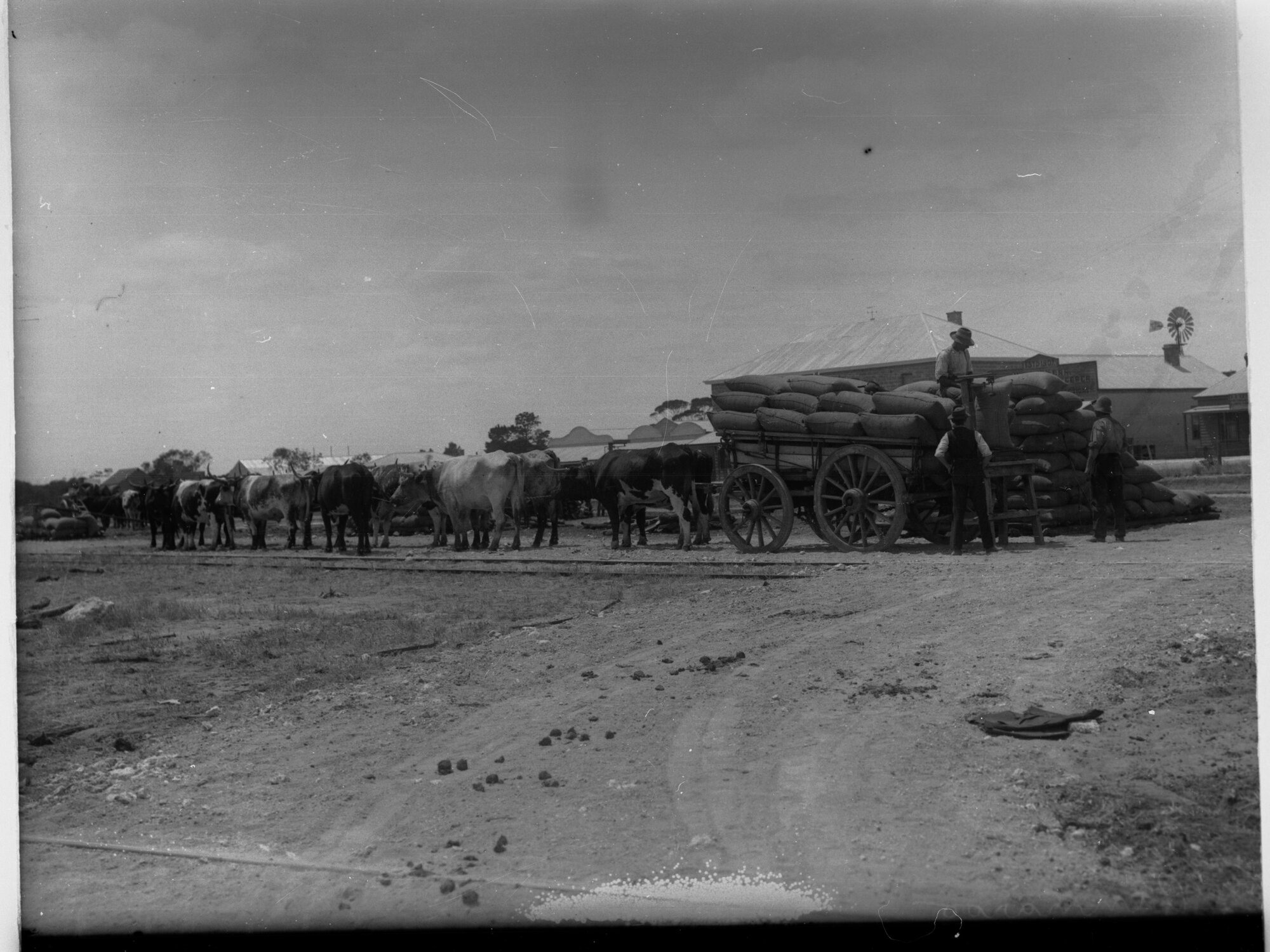 Pinnaroo Railway Yard