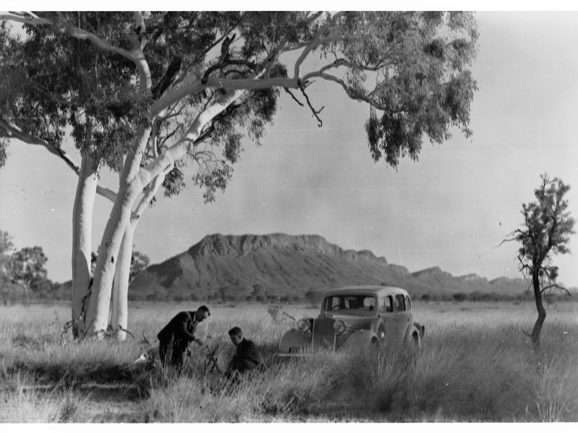 MacDonnell Range 