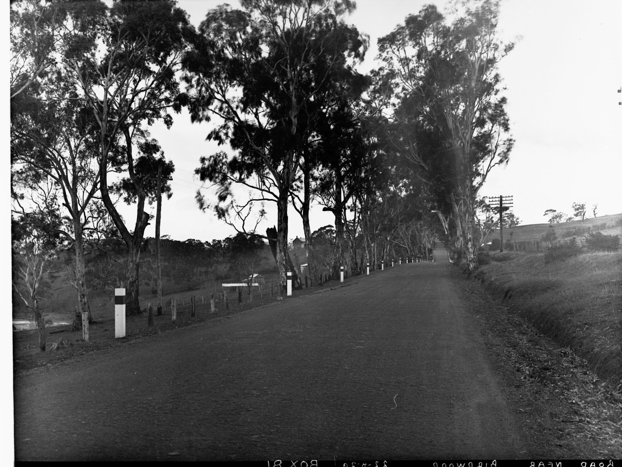 Road Near Birdwood