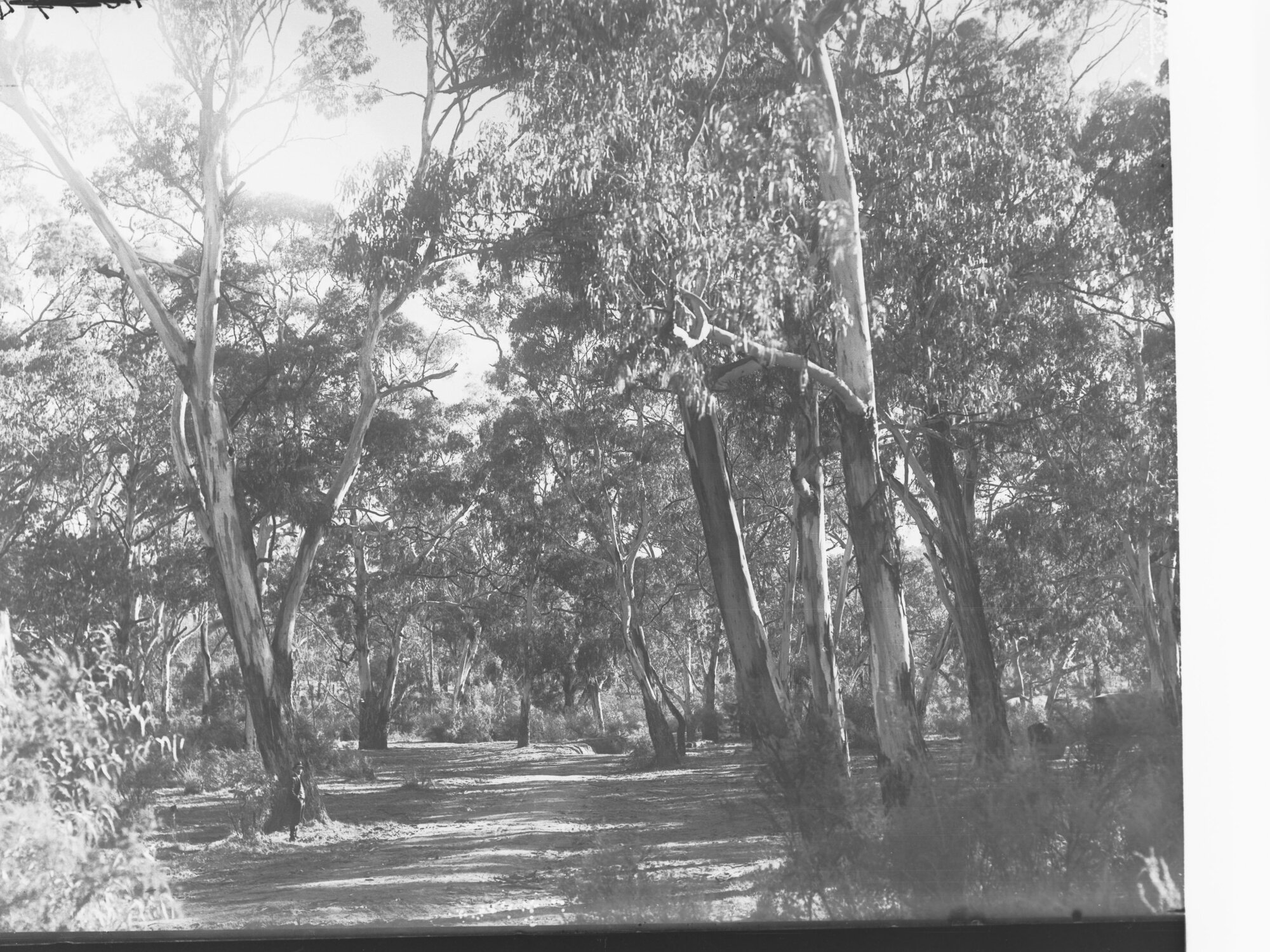 Mylor Reserve