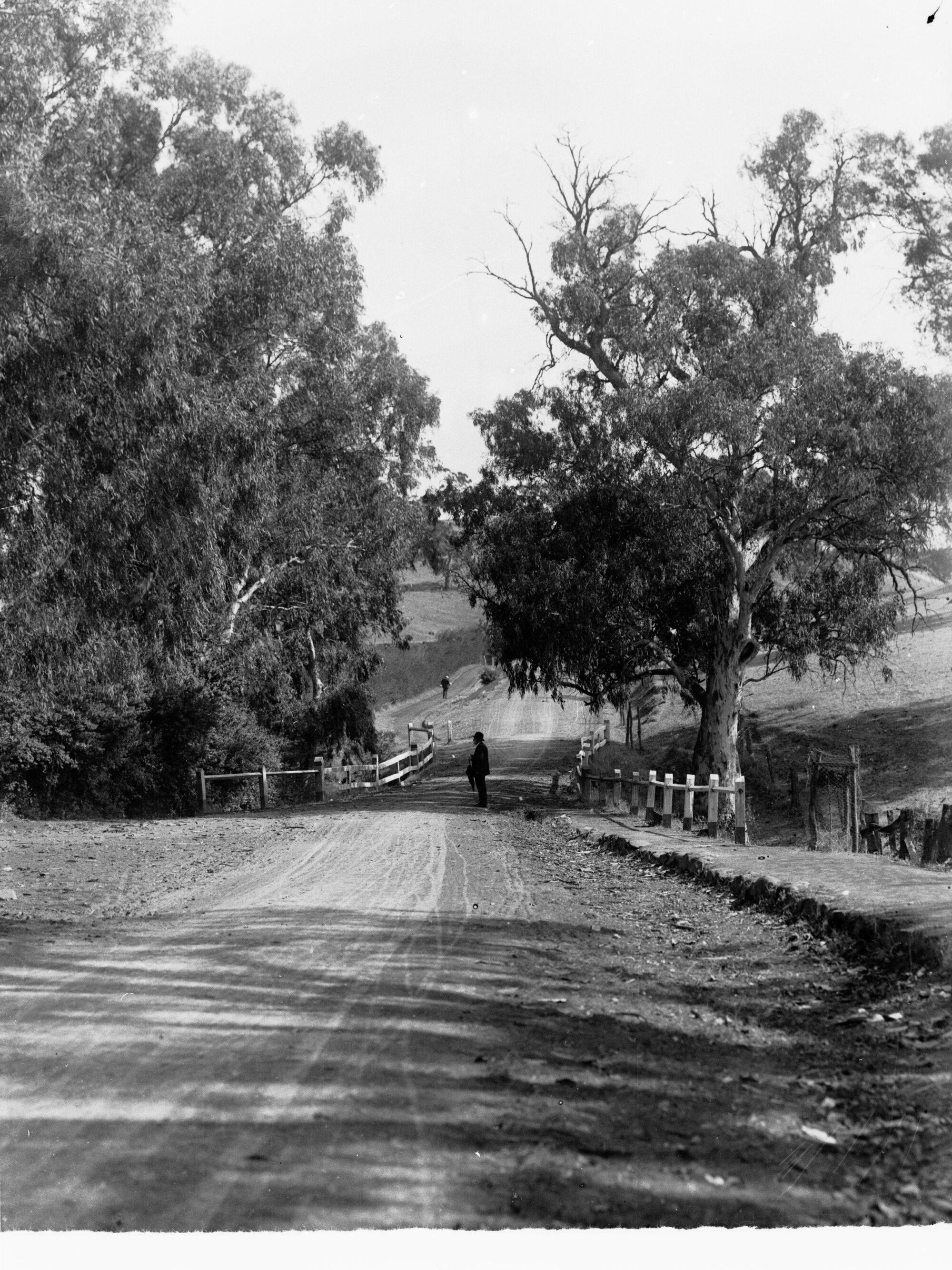 Man on road near Angaston