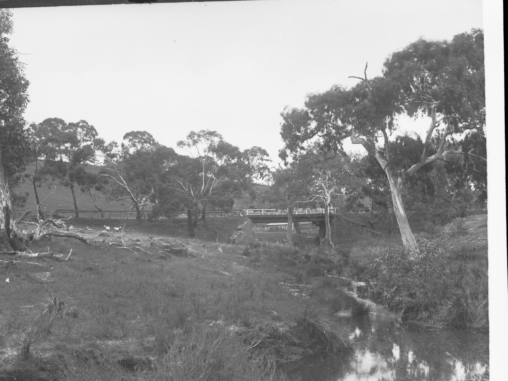 Bridge over Scott's Creek at Nairne