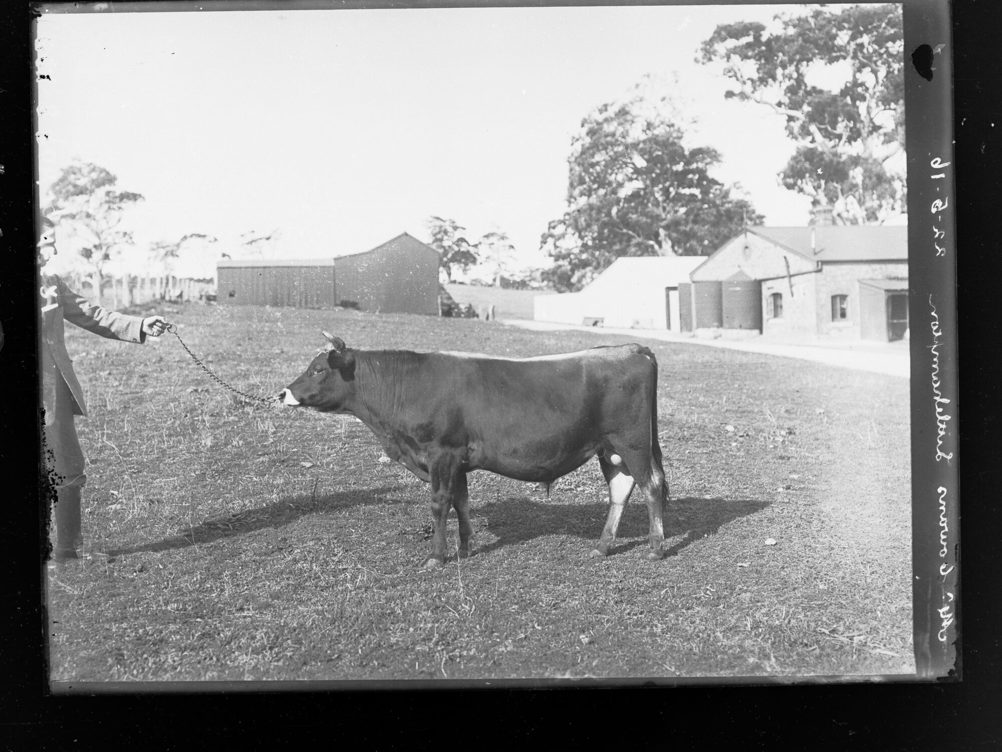 Mr Cowan's property at Littlehampton