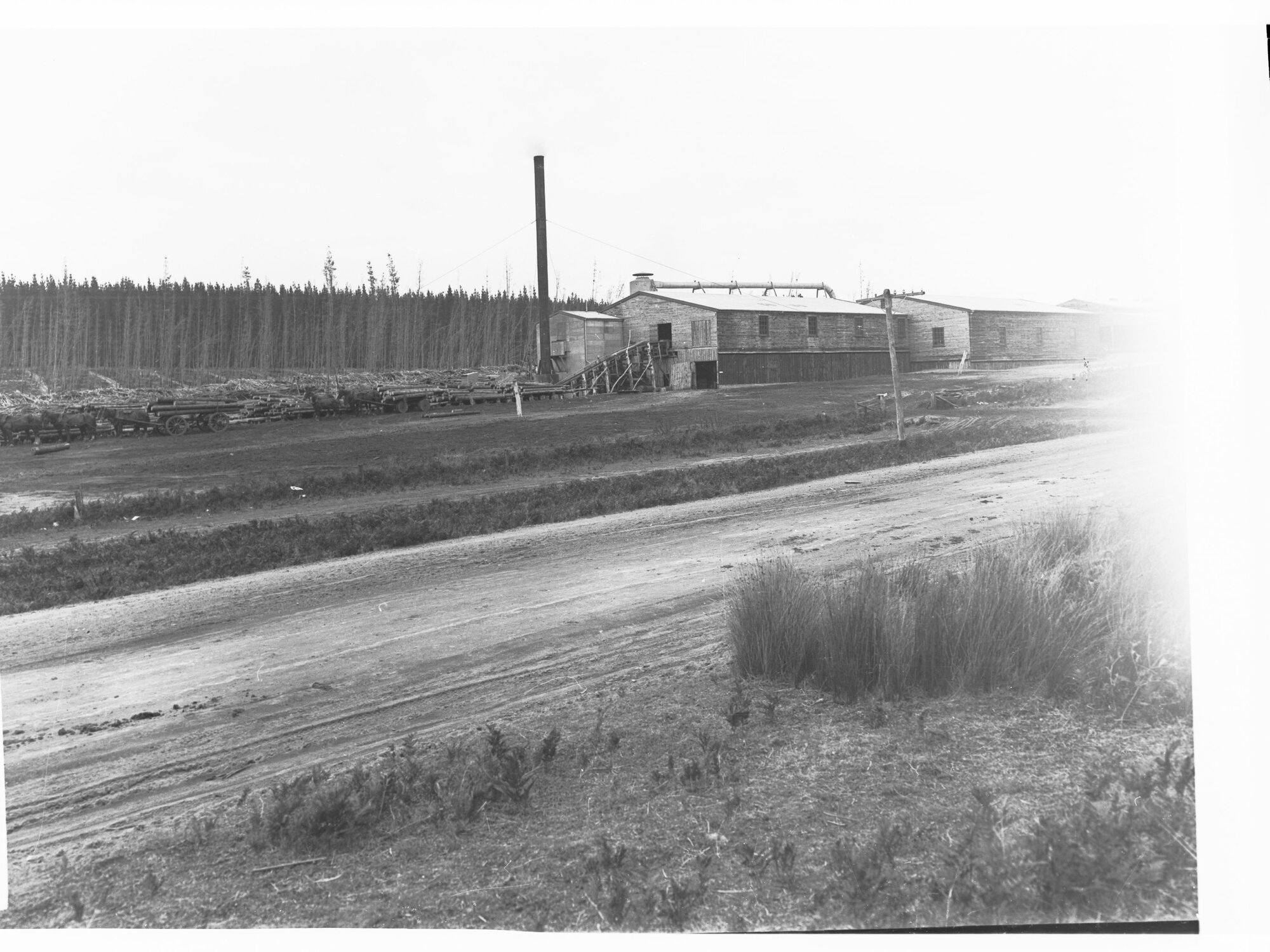 General View of Mount Burr Mill