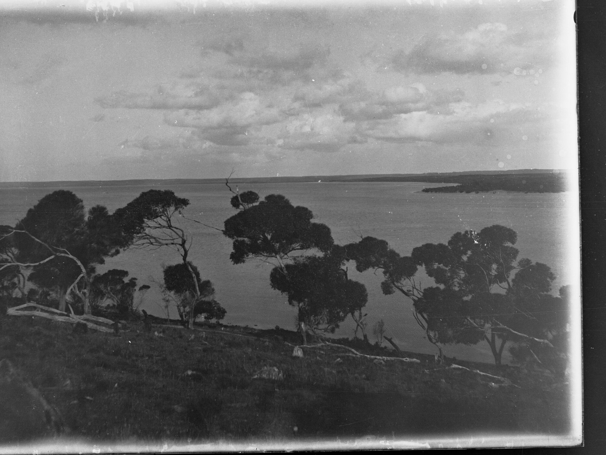 American River ,  Kangaroo Island, South Australia