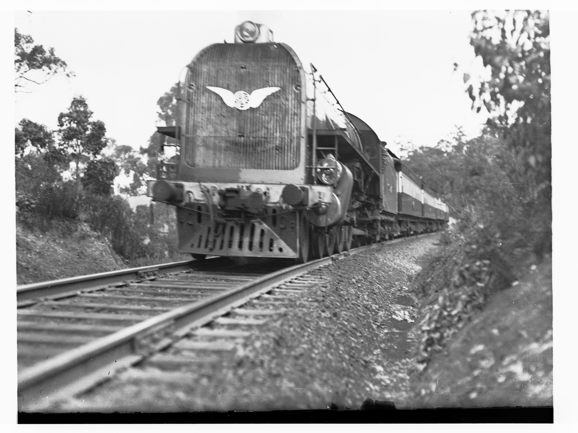 South Australia's Centenary Train in the Adelaide Hills, South Australia.