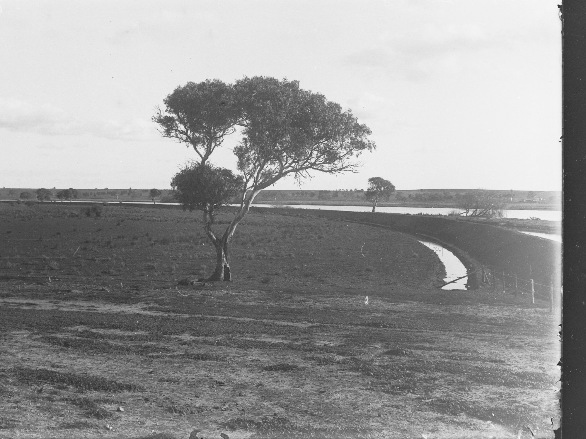 Murray River view