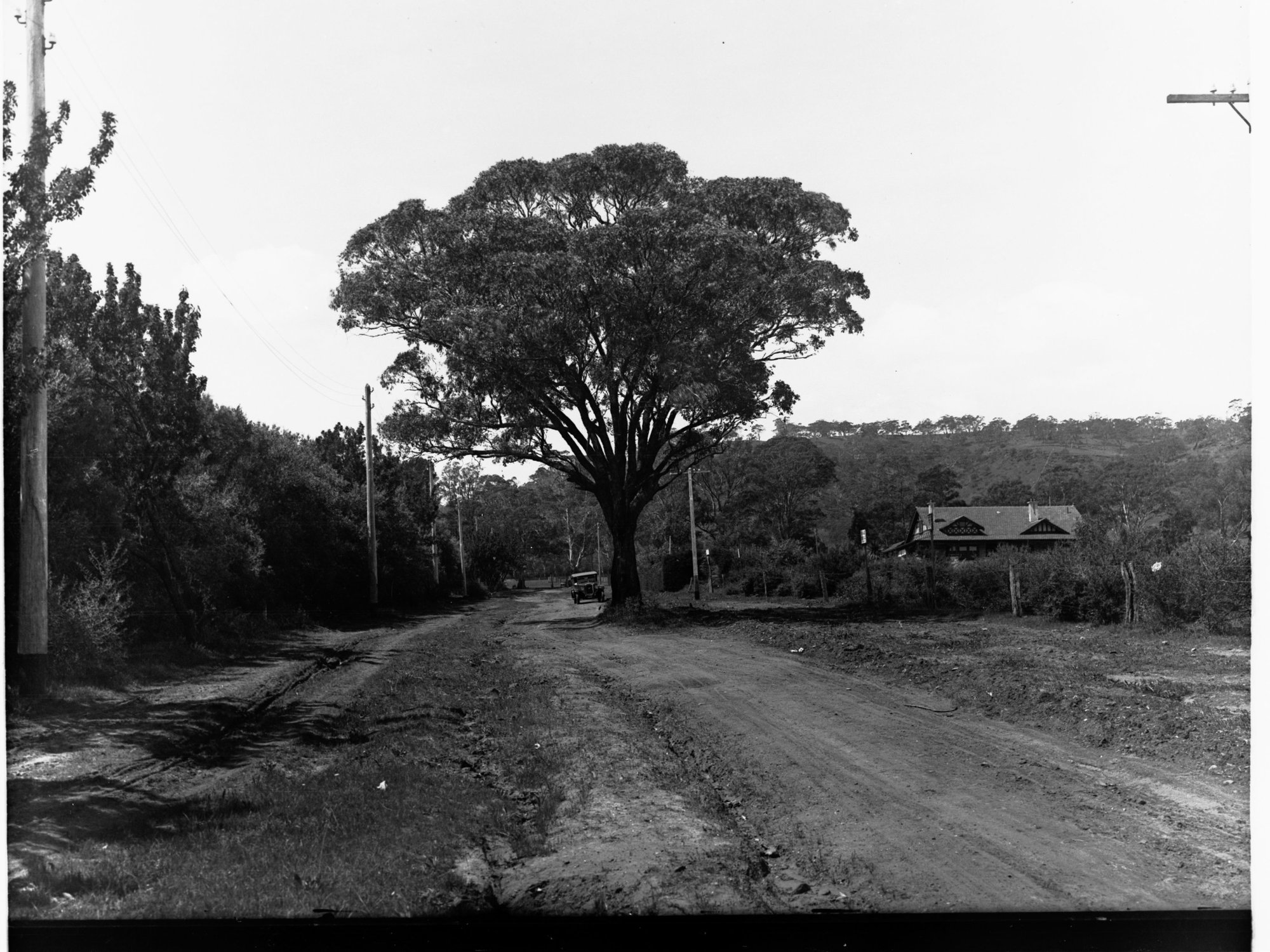 Dirt Road at Fullarton