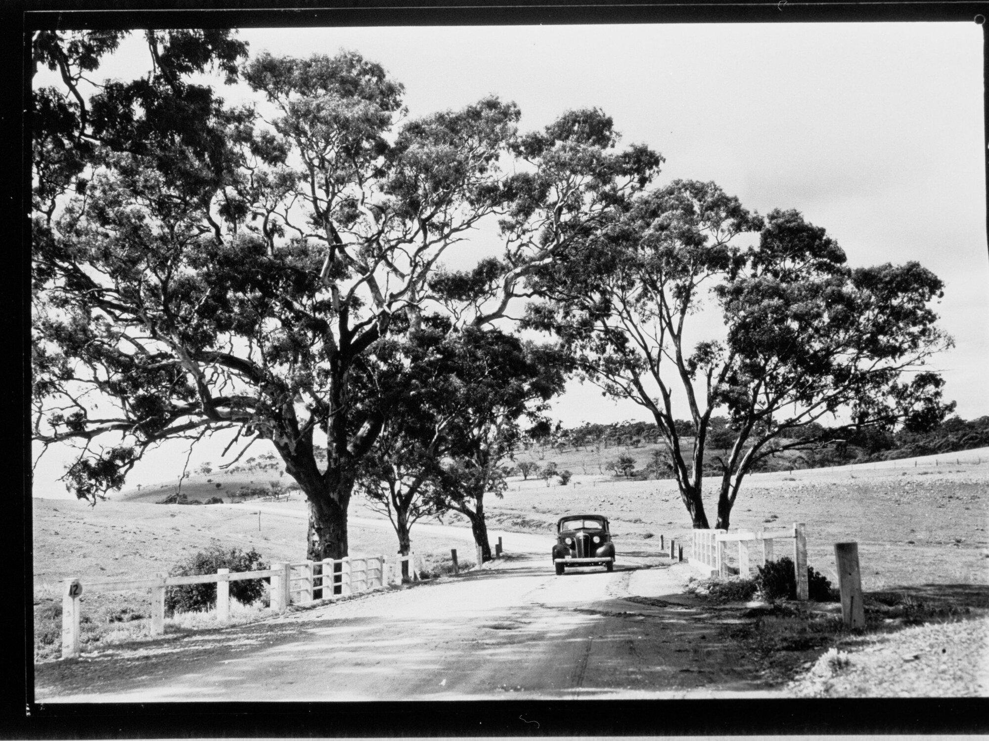 Port Pirie - Port Germein gorge, car travelling on road