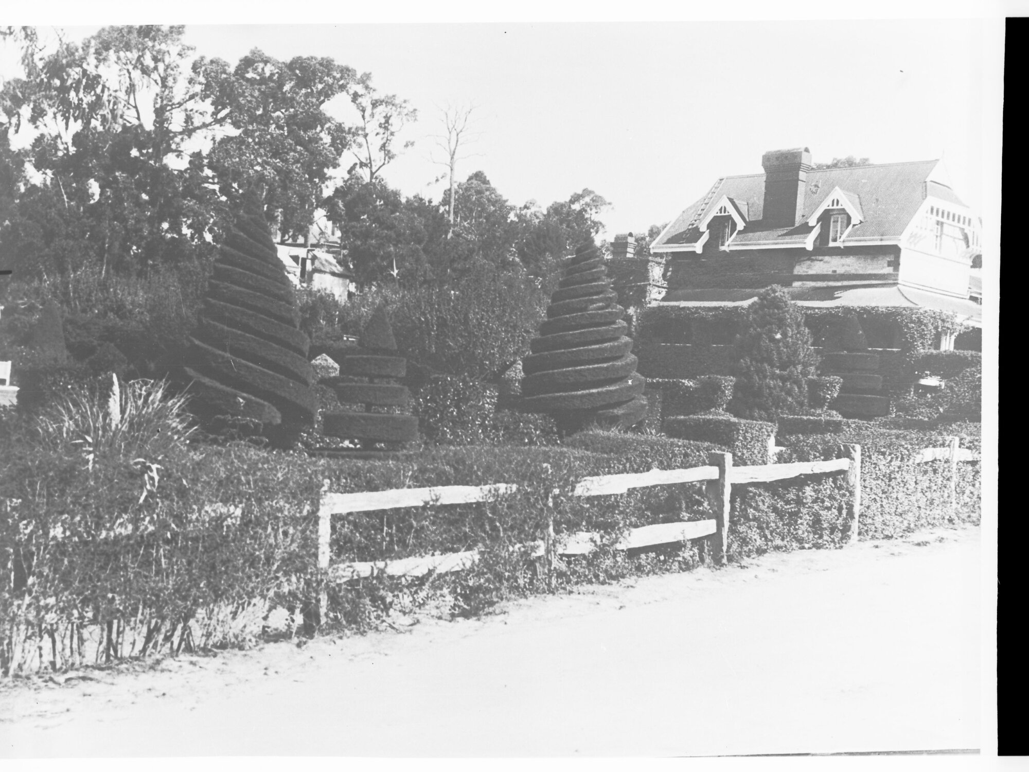 Mount Lofty Showing a House and Gardens