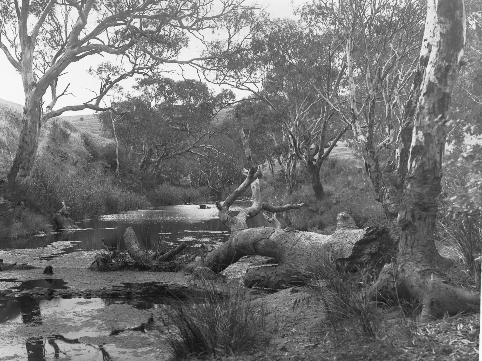 Noarlunga Showing Onkaparinga River
