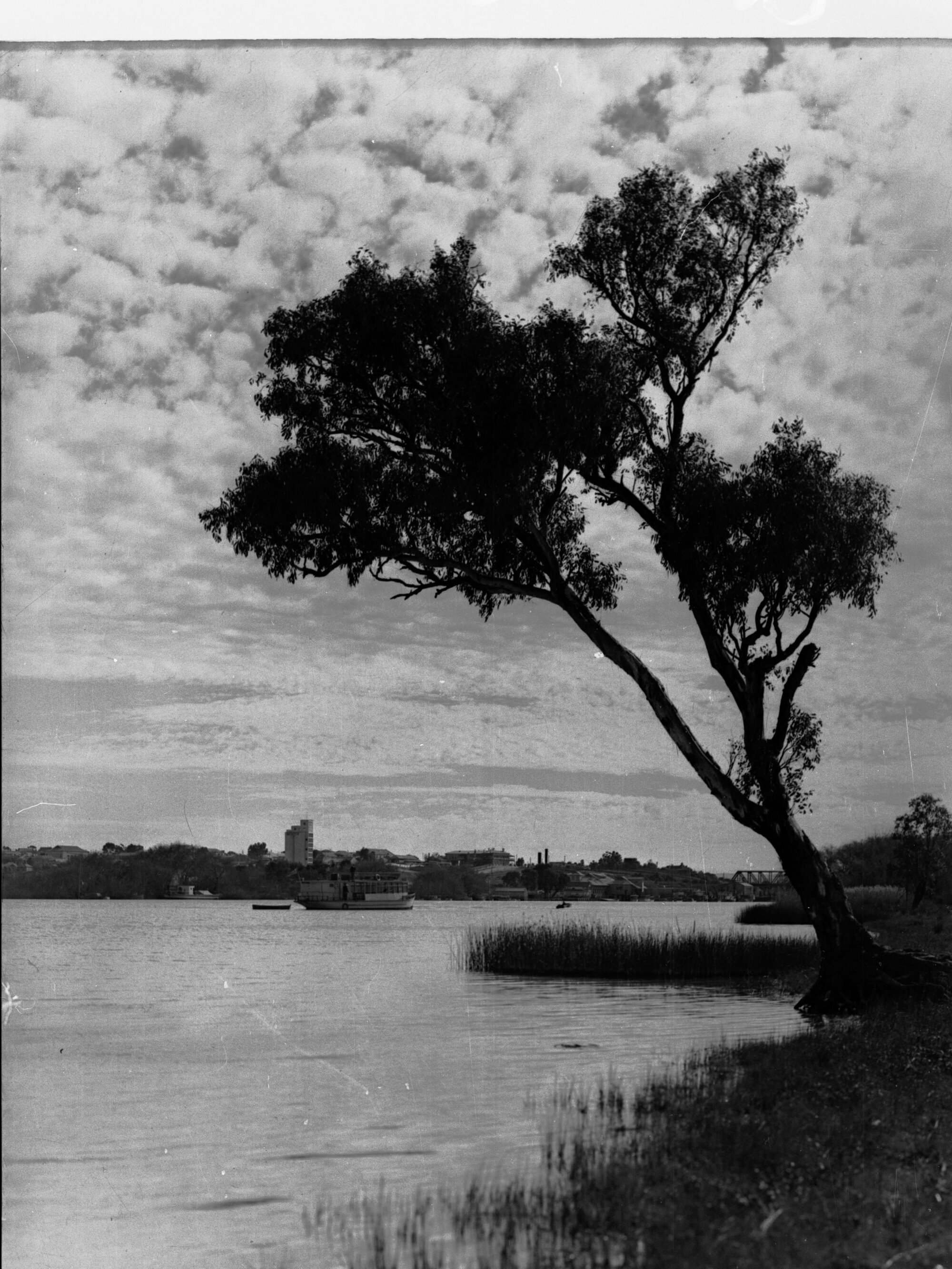 Murray Bridge Showing Paddlesteamer on River Murray