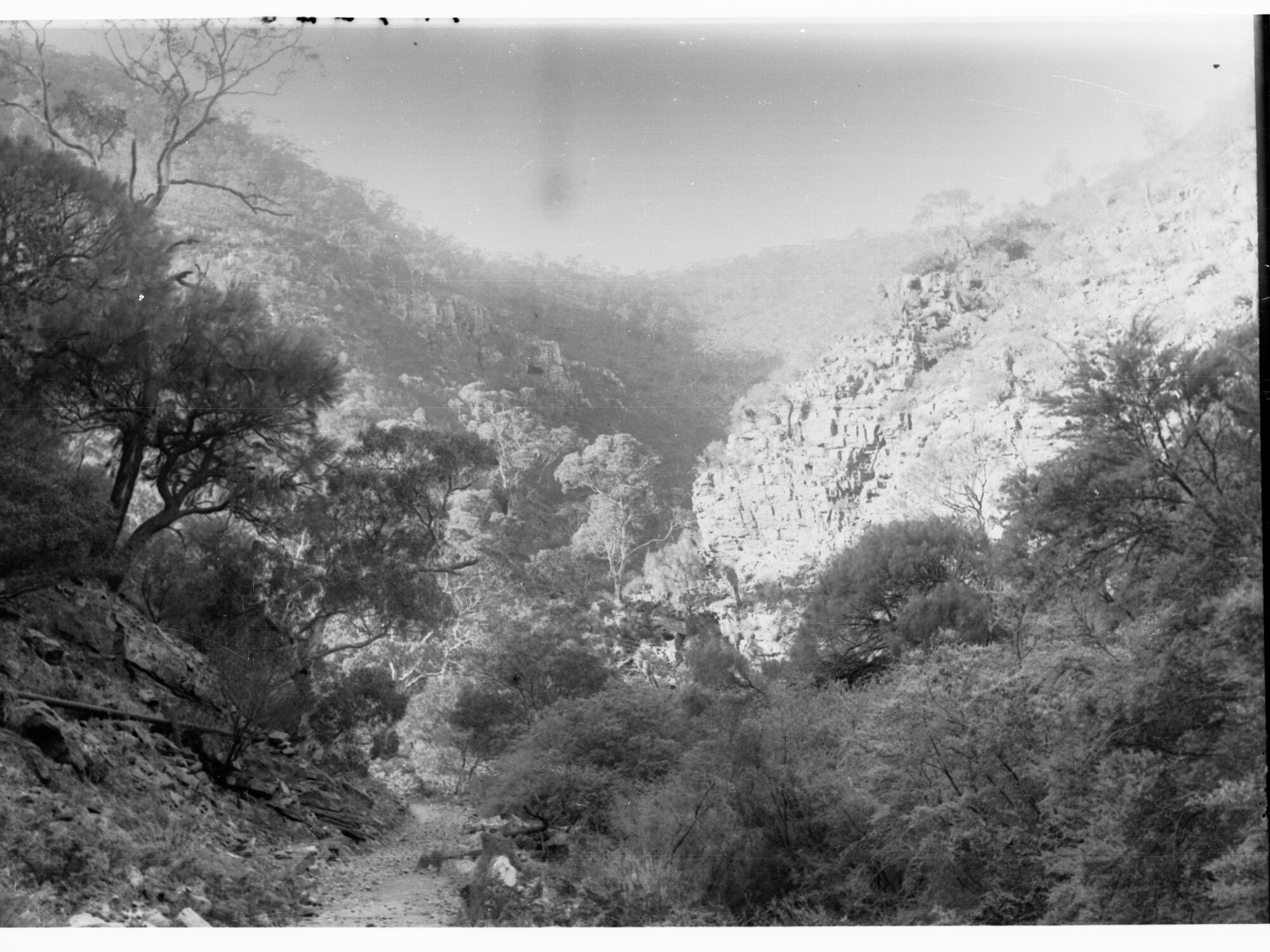 Morialta Reserve showing Rocky Gorge