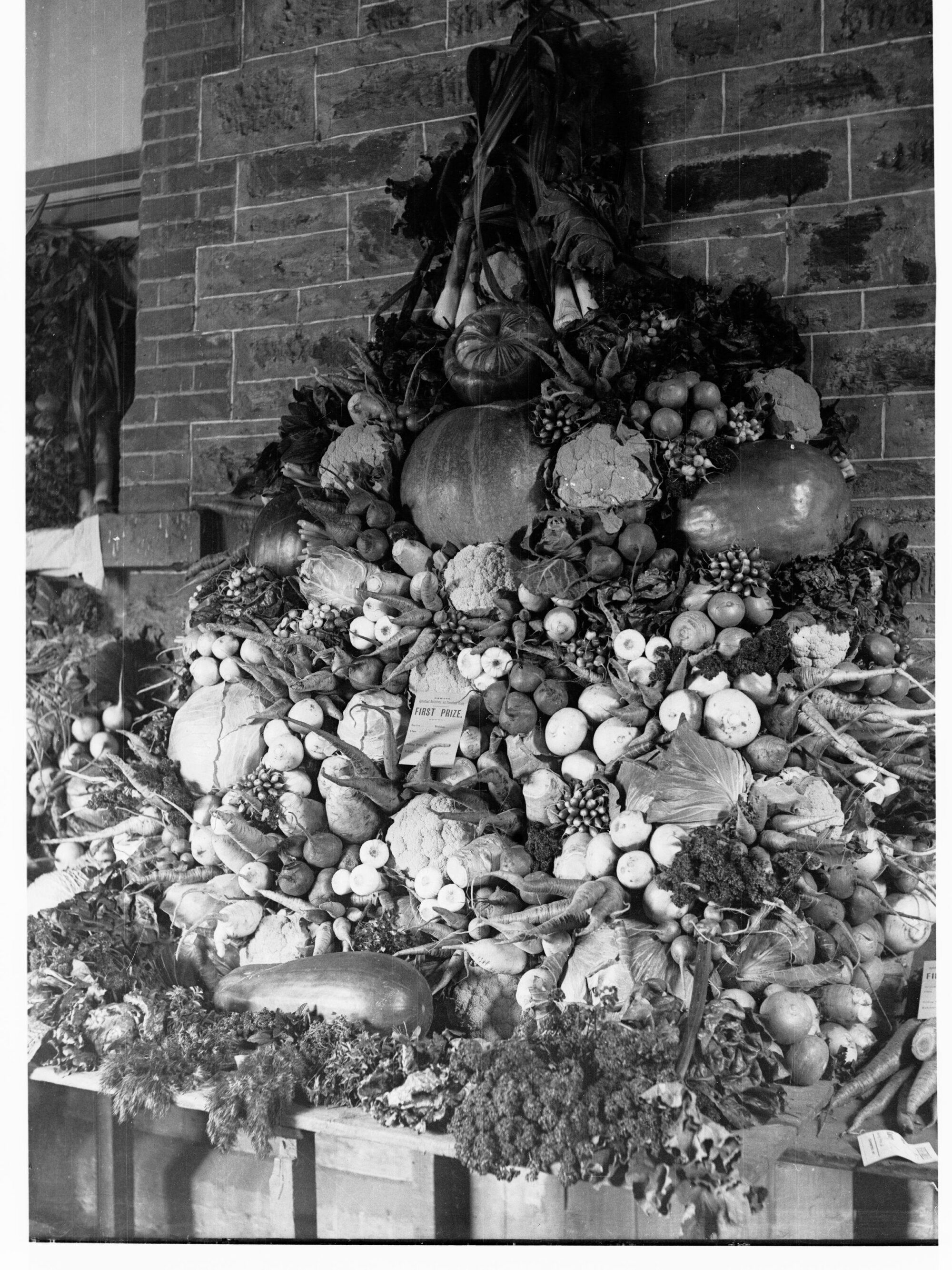 Vegetable Display - Country Show