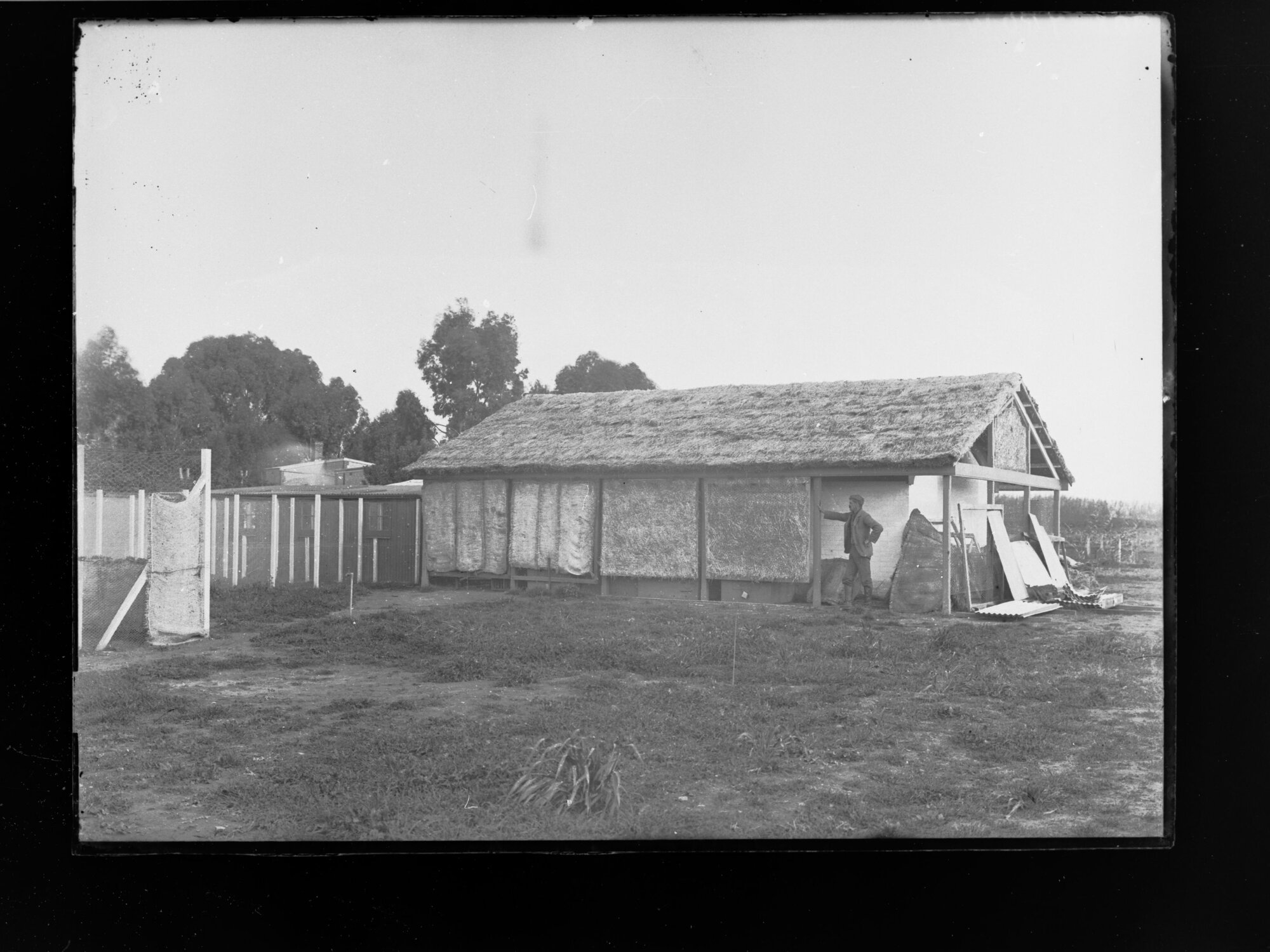 Poultry farm showing coops and shed at Roseworthy Agricultural College
