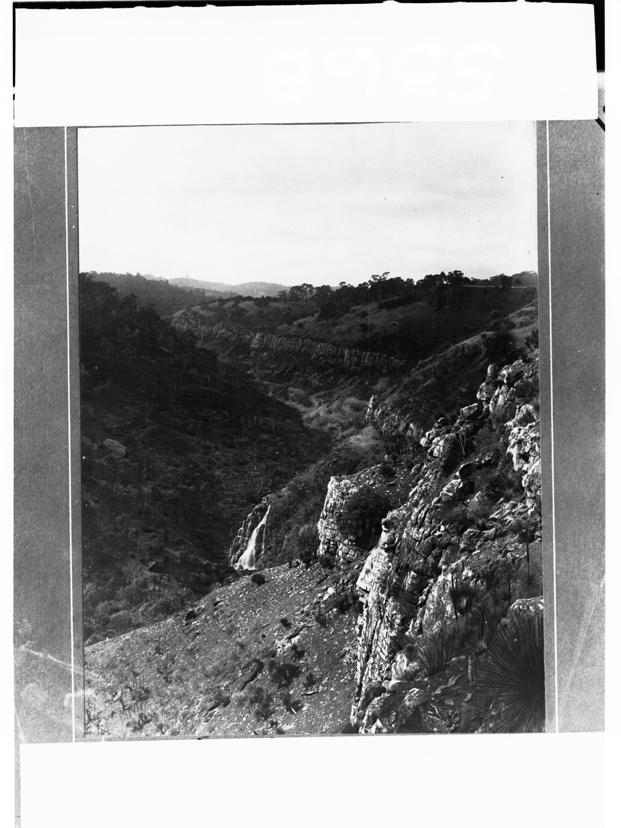 Morialta