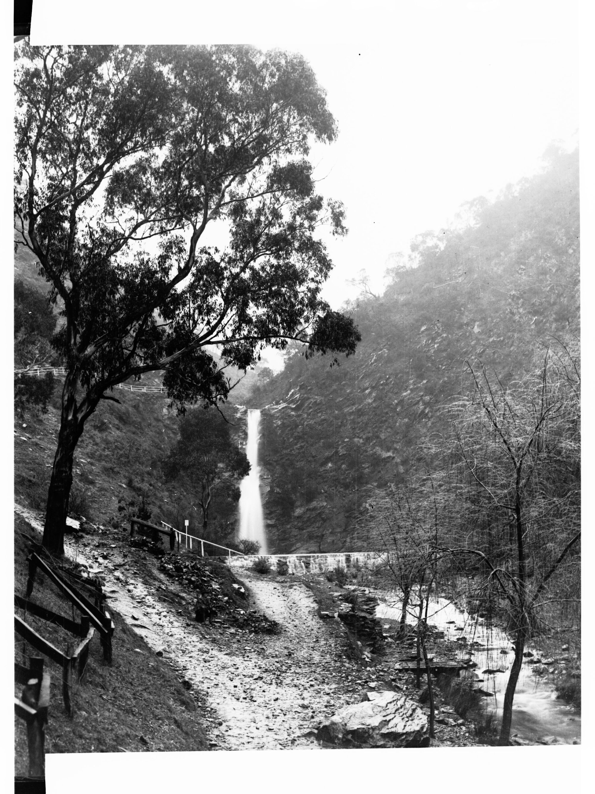 First Fall Waterfall Gully