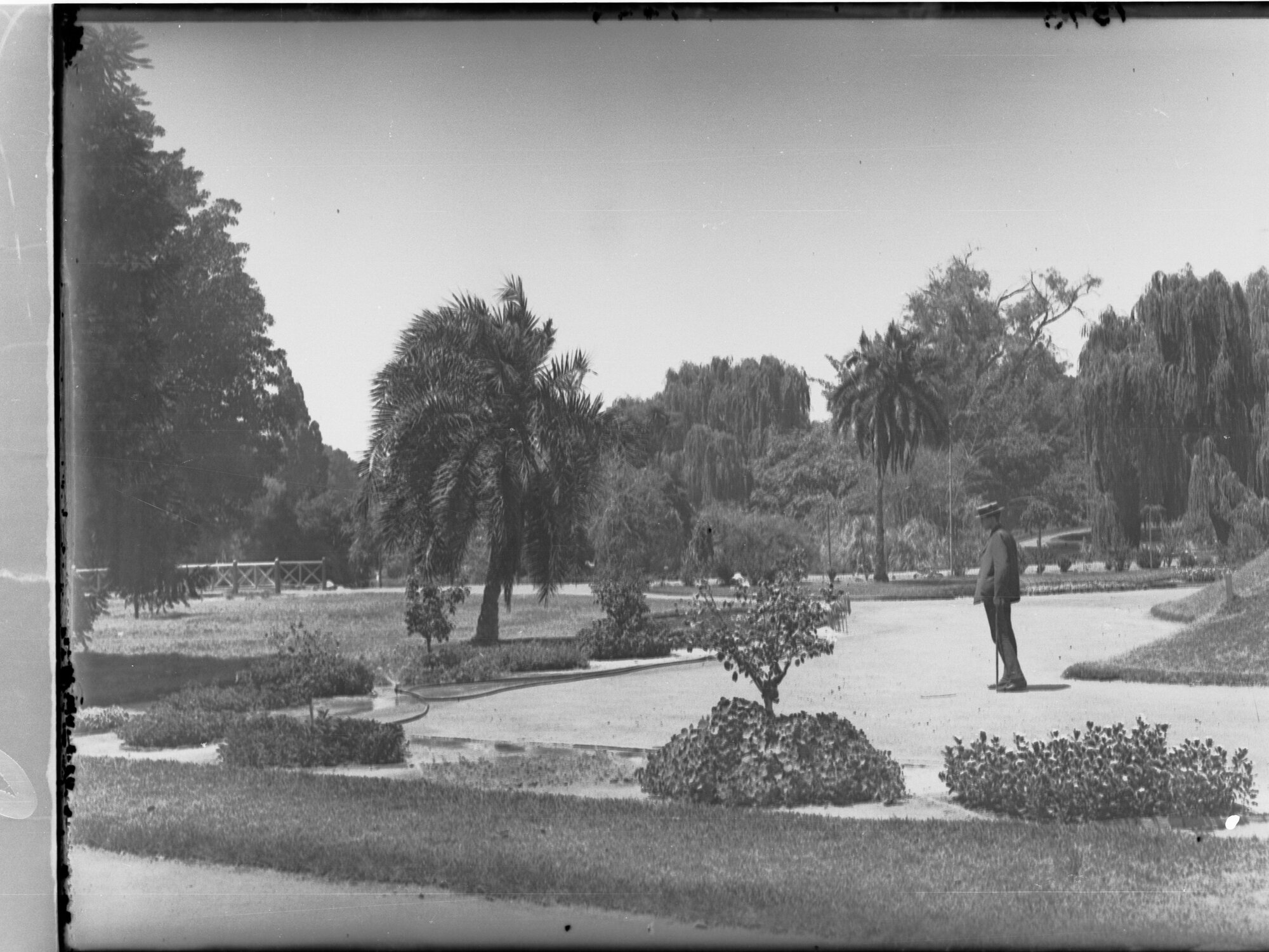 Man standing in Botanic Gardens