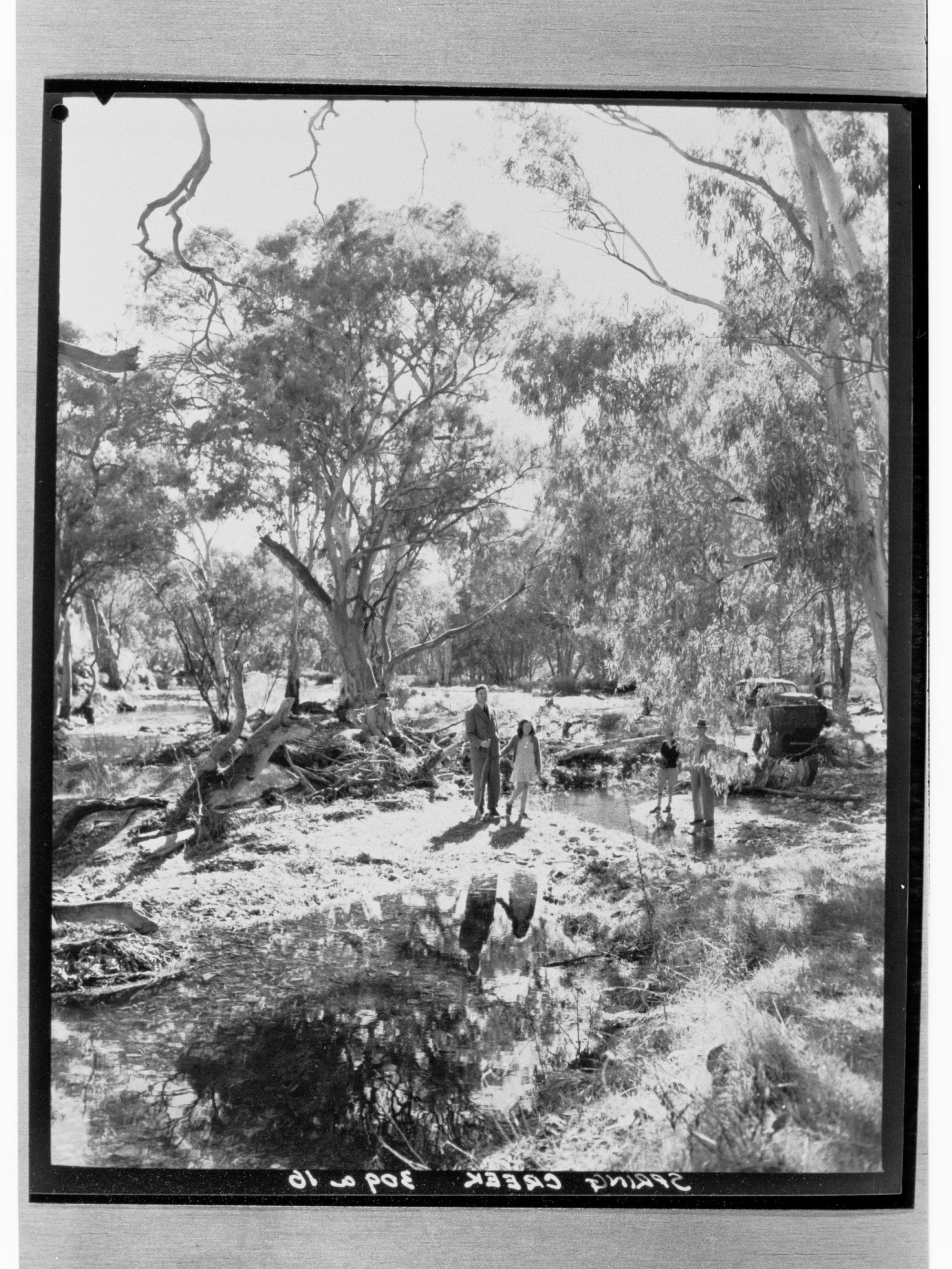 Spring Creek