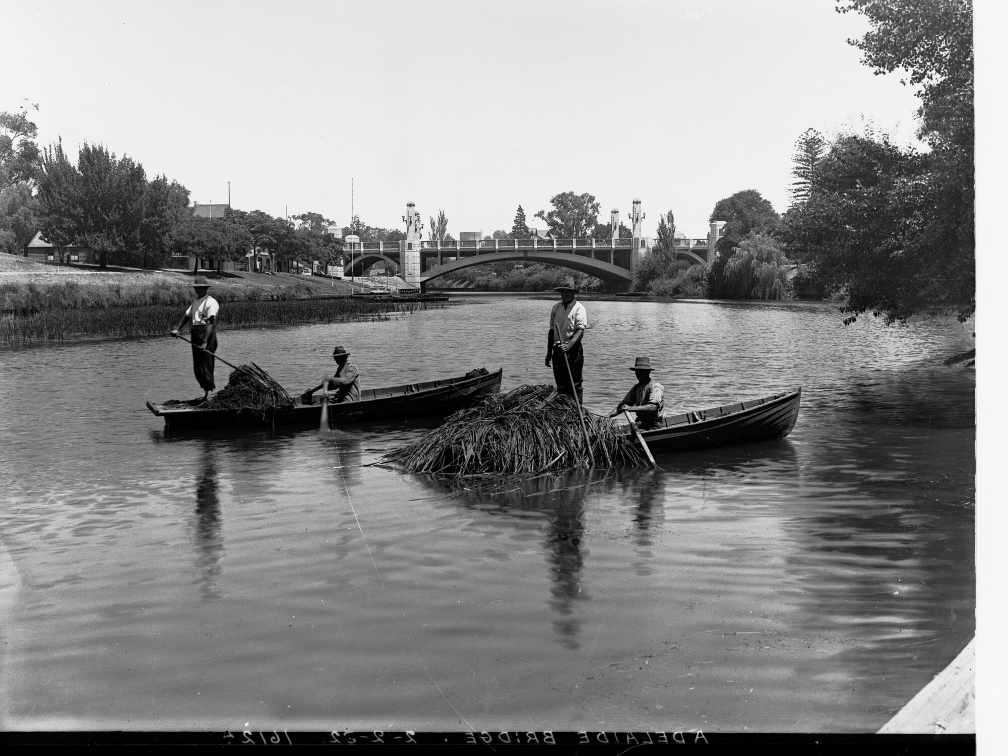 Men in Rowboats on the River Torrens 