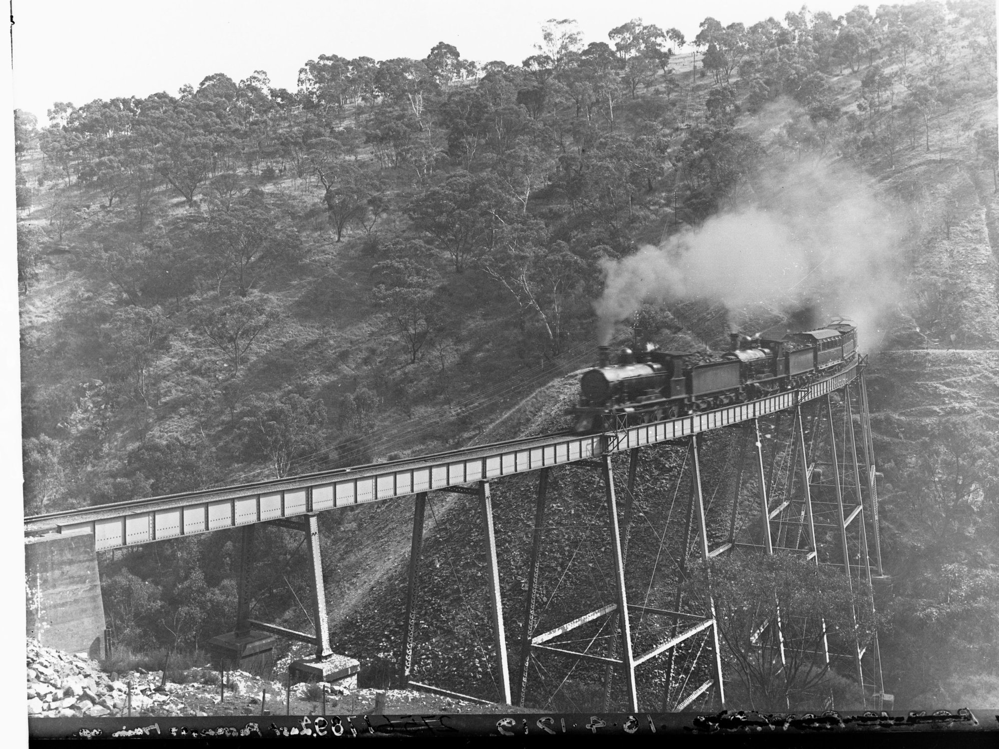 Last PassTrain on Mitcham Viaduct