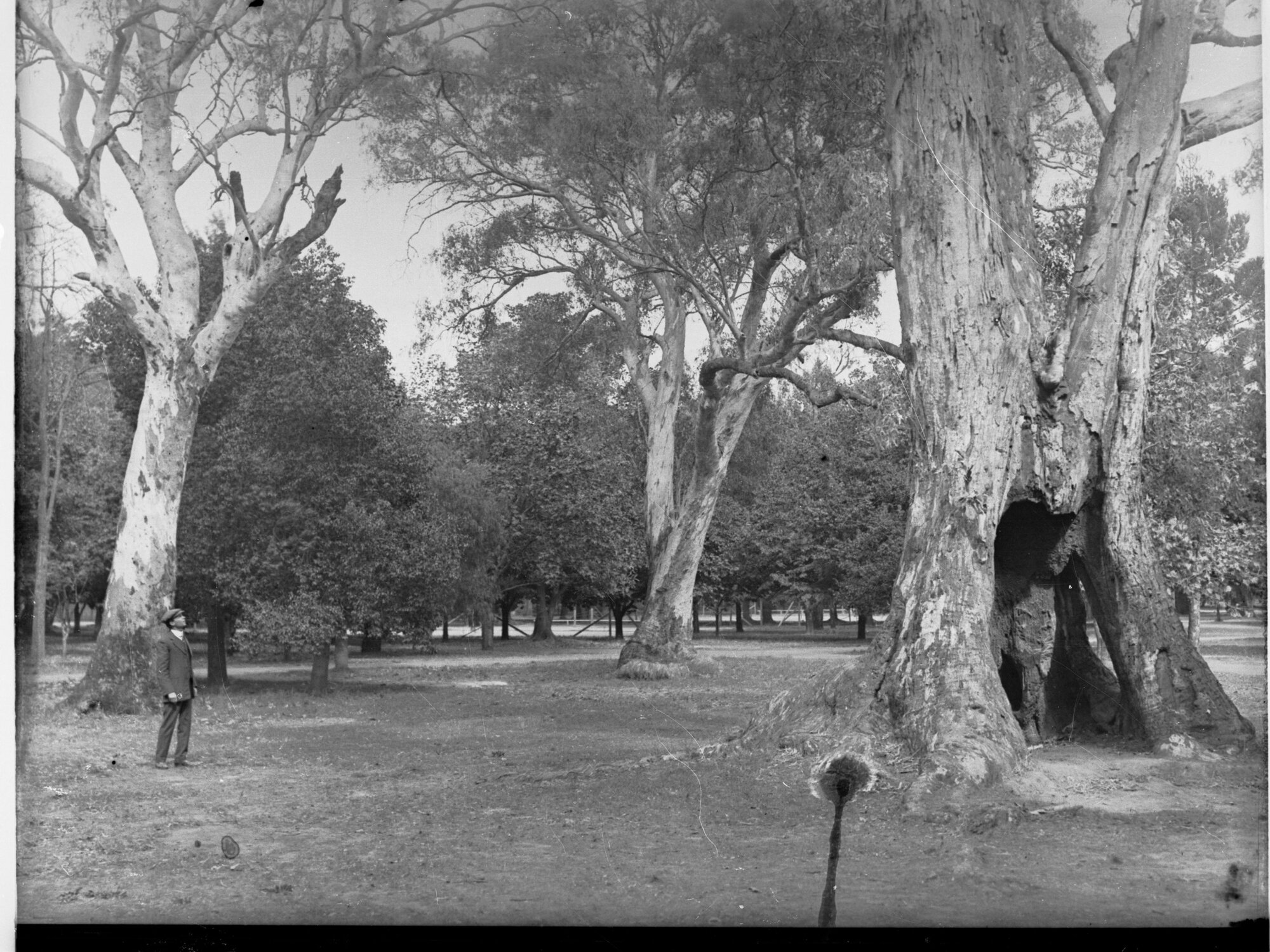 Botanic Gardens
