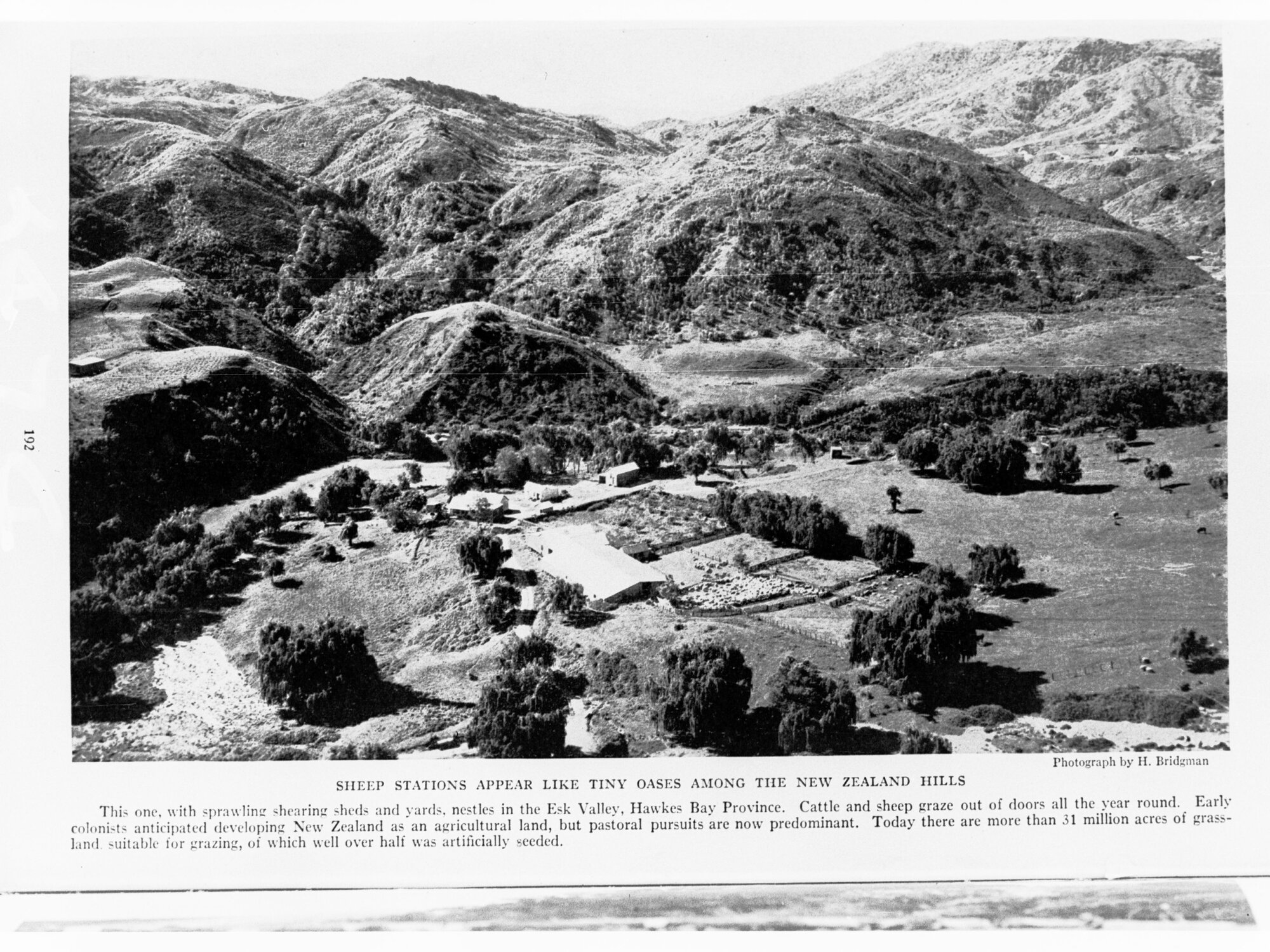 Sheep Stations Appear like Tiny Oases among the New Zealand Hills - photograph by H Bridgman