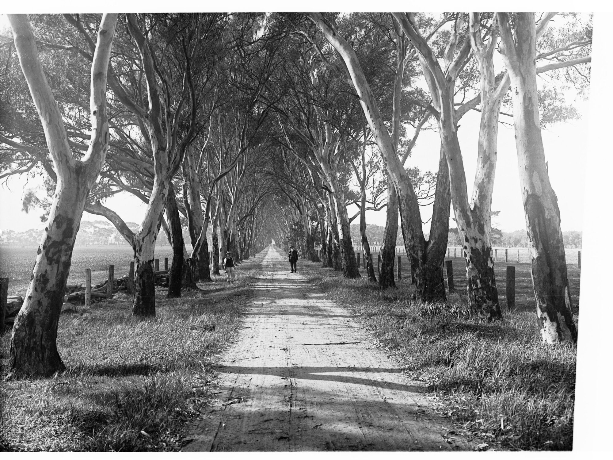 Pathway Showing Two Men Standing on Either Side