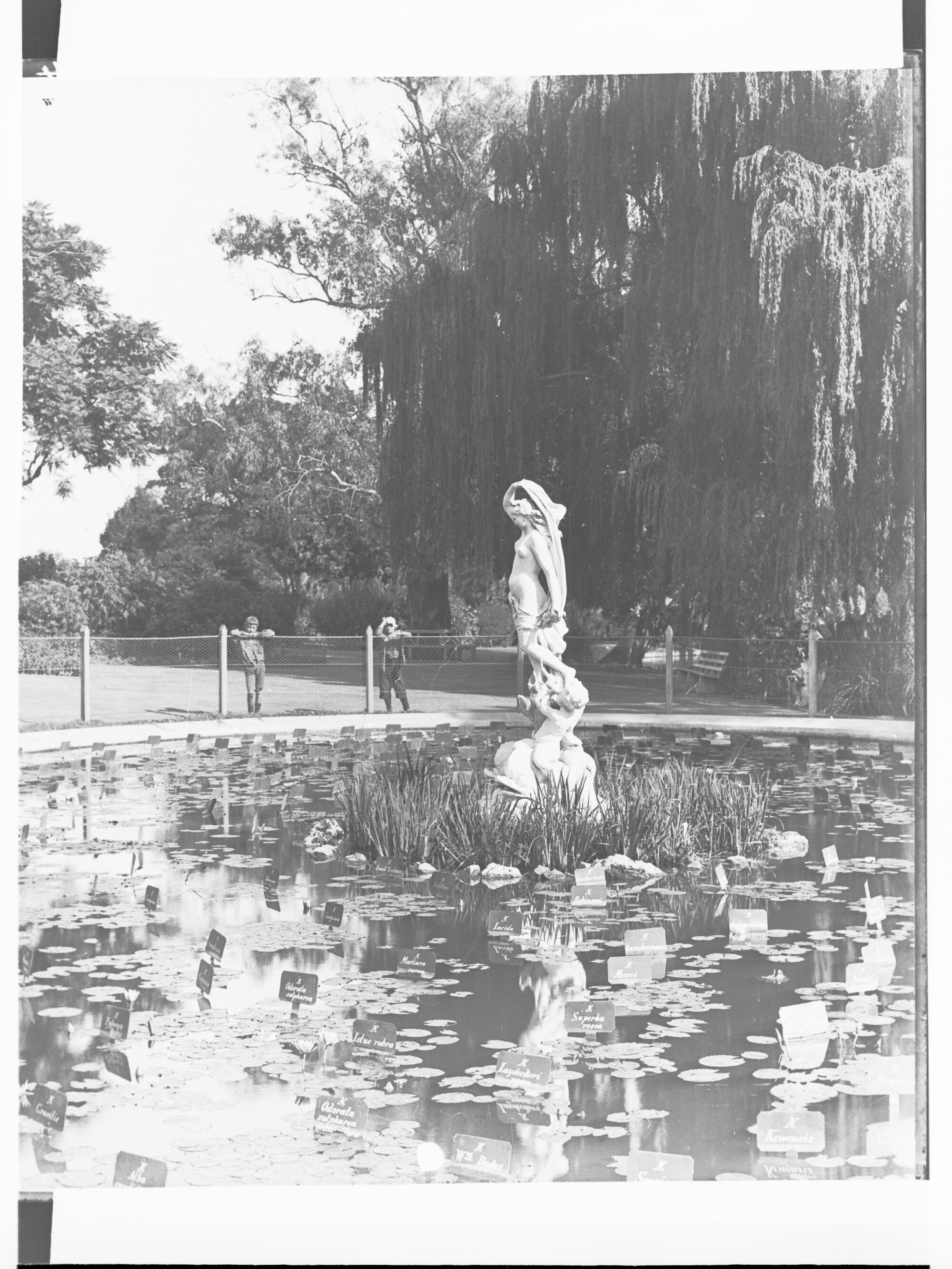 Botanic Gardens Pond and Statue