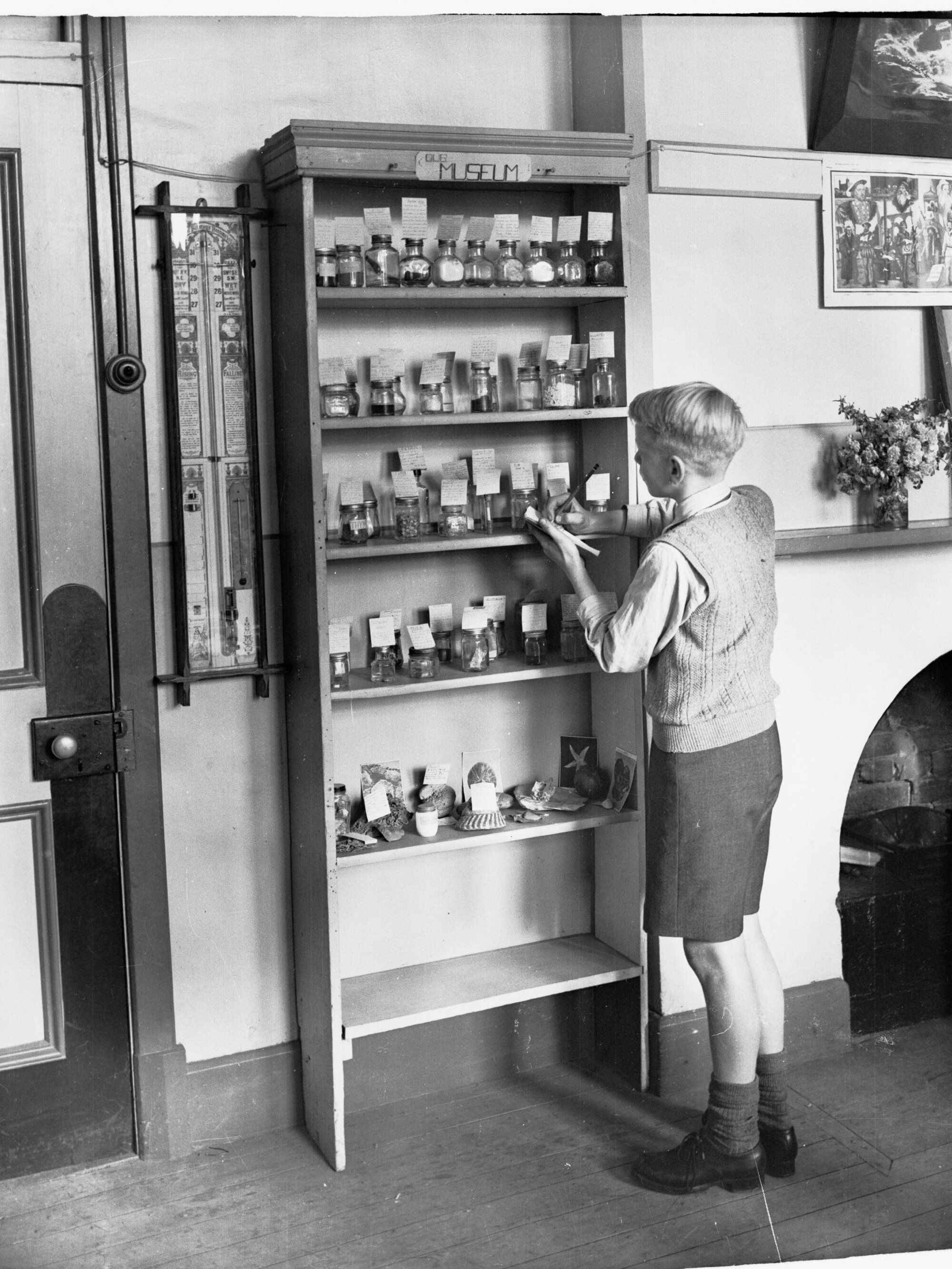 Goodwood Primary School Showing Boy at Nature Science Shelf